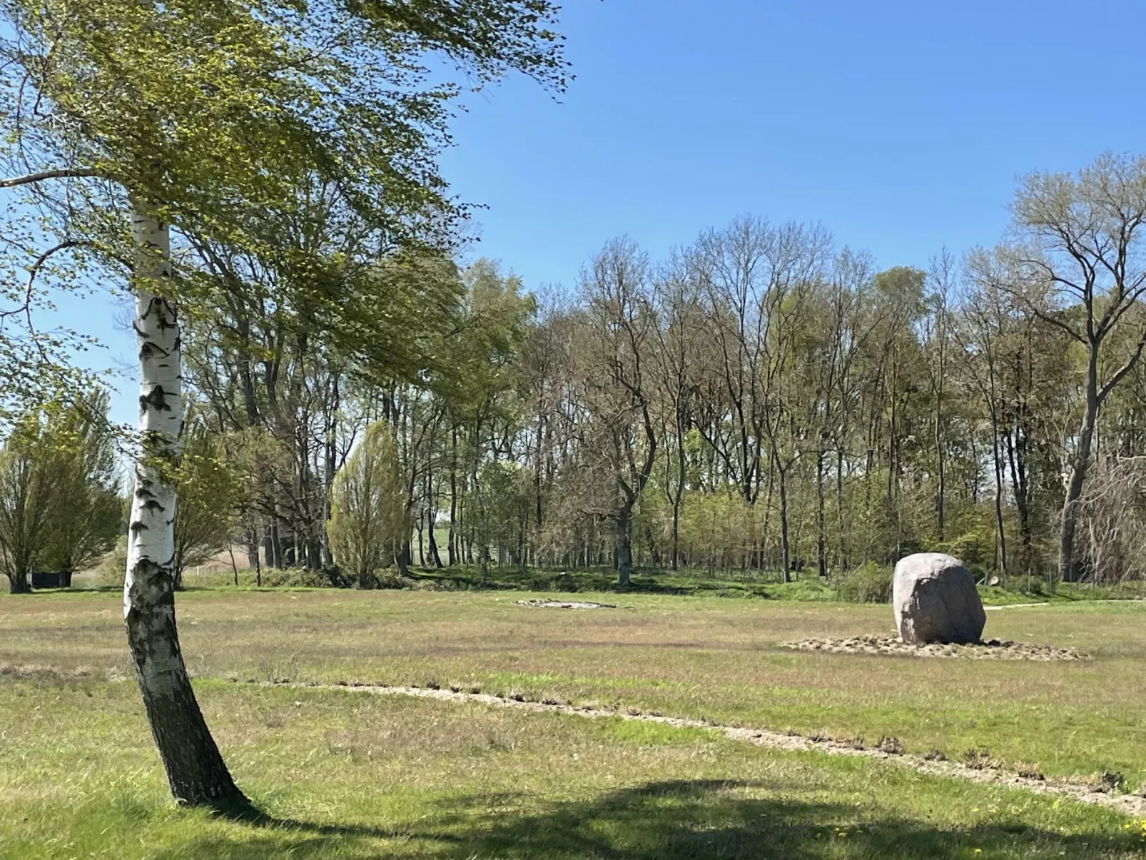 Heide-Dehors