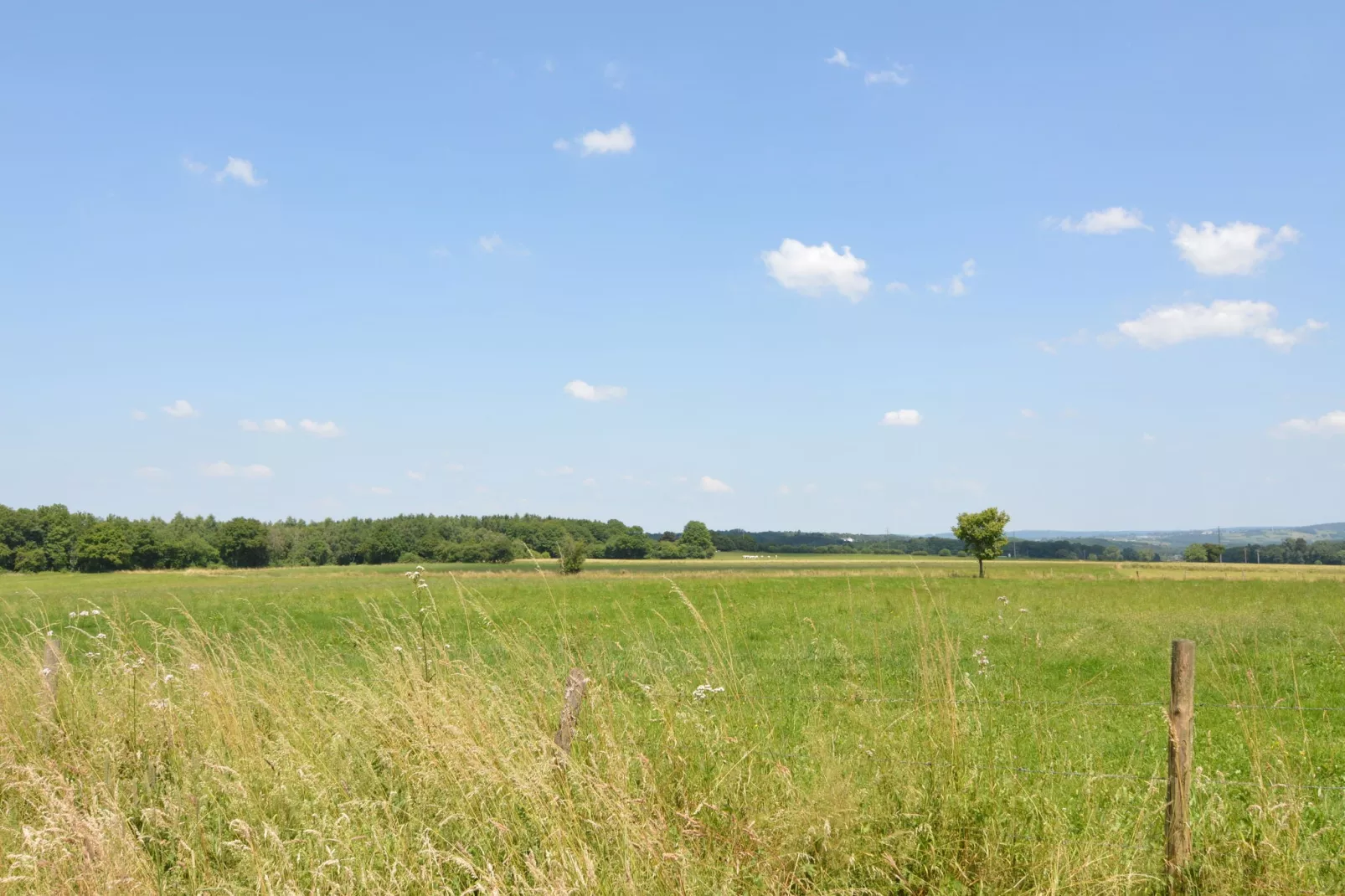 Manoir Cardon-Areas summer 20km
