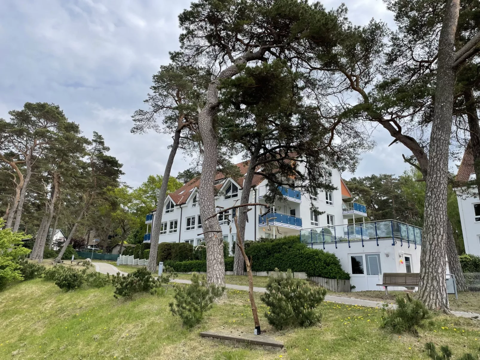 Blaumuschel (LUB113)-Outside