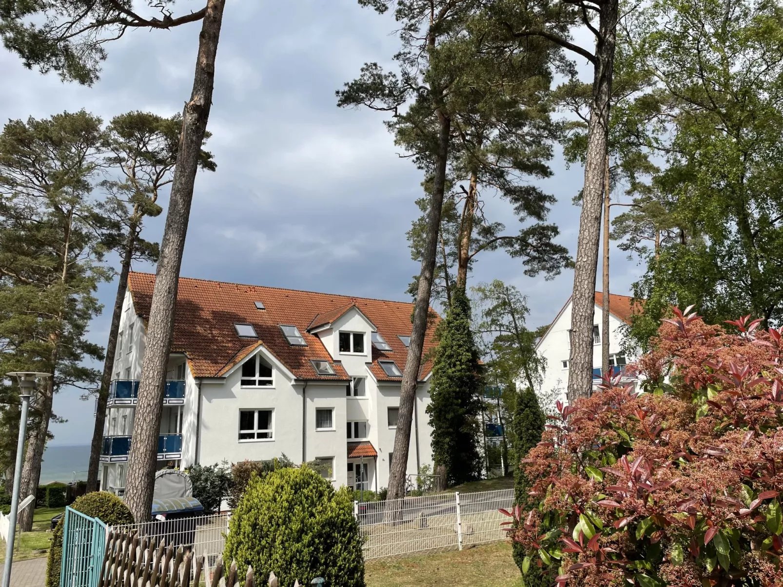 Blaumuschel (LUB118)-Outside