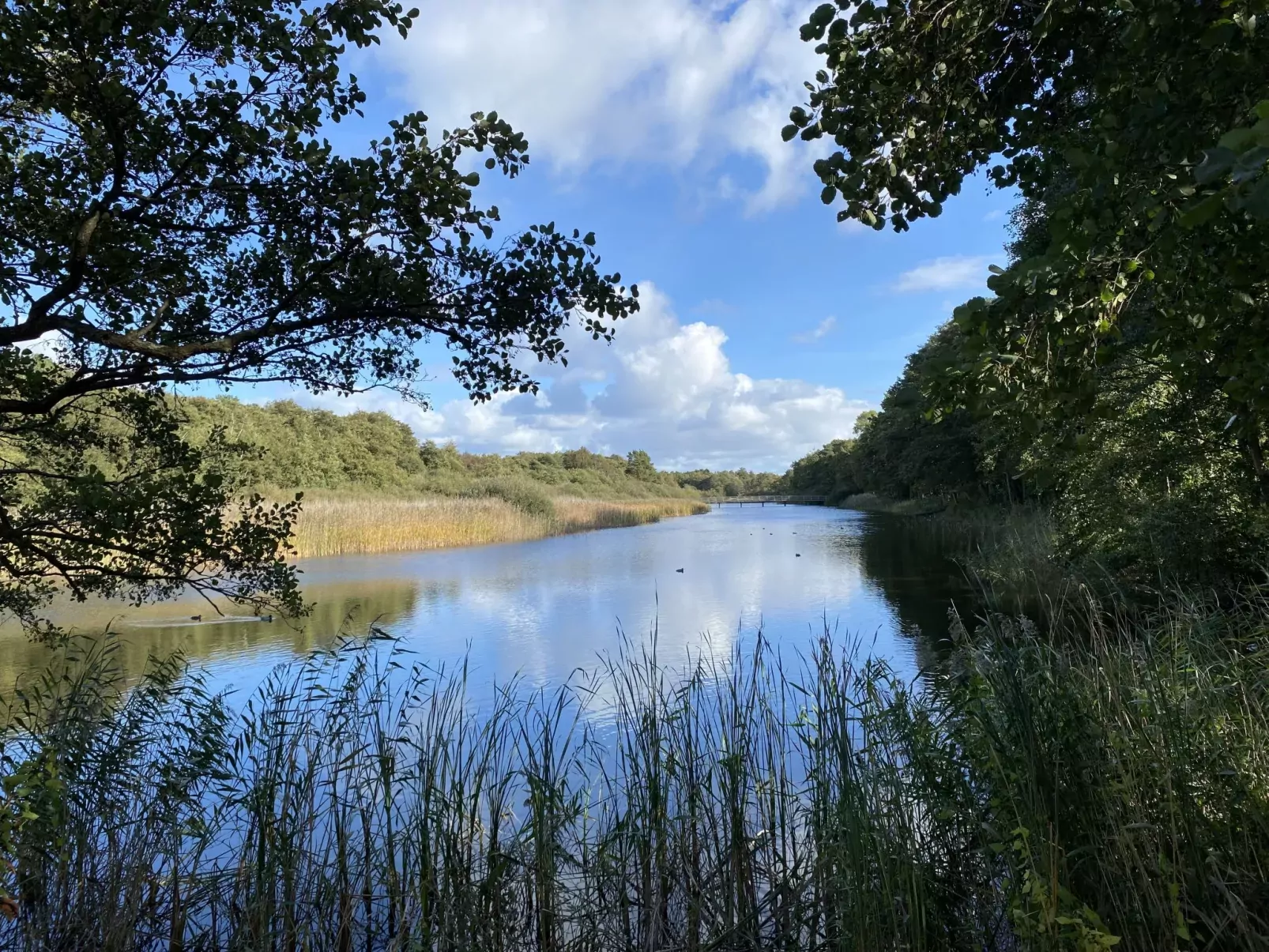 Prerow-Area