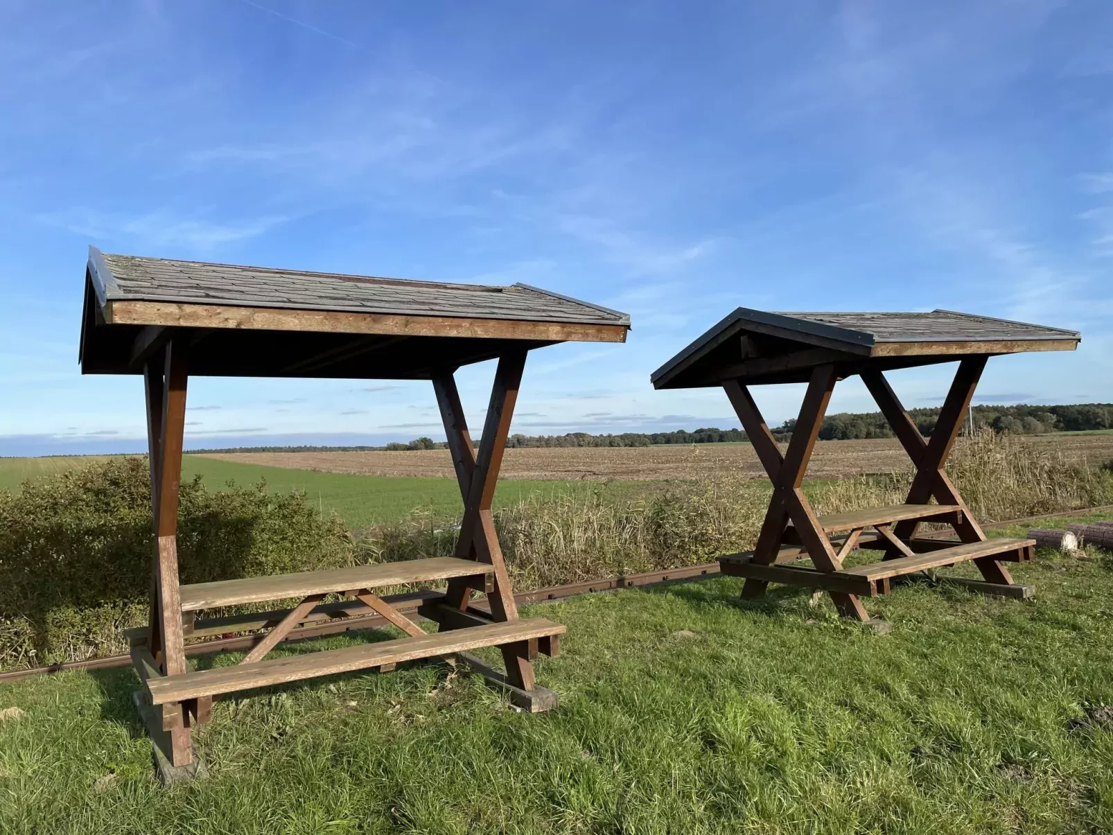 Am Walde-Draußen