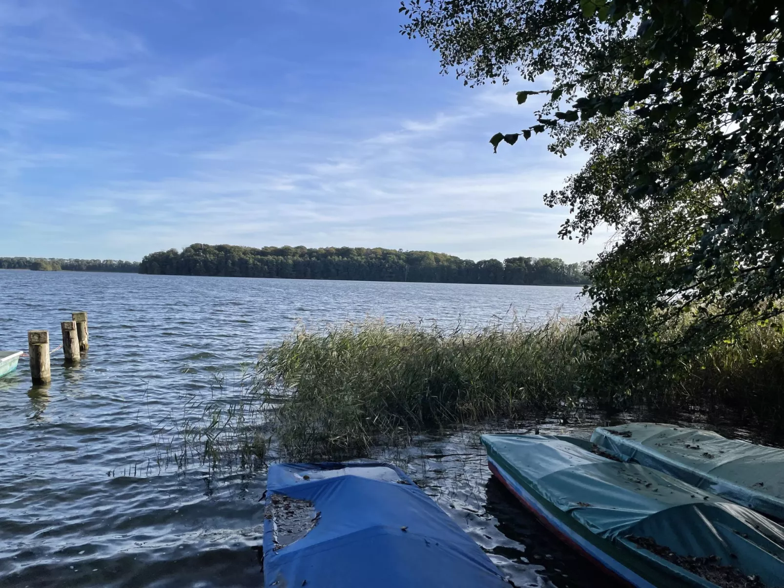 Am Walde-Outside