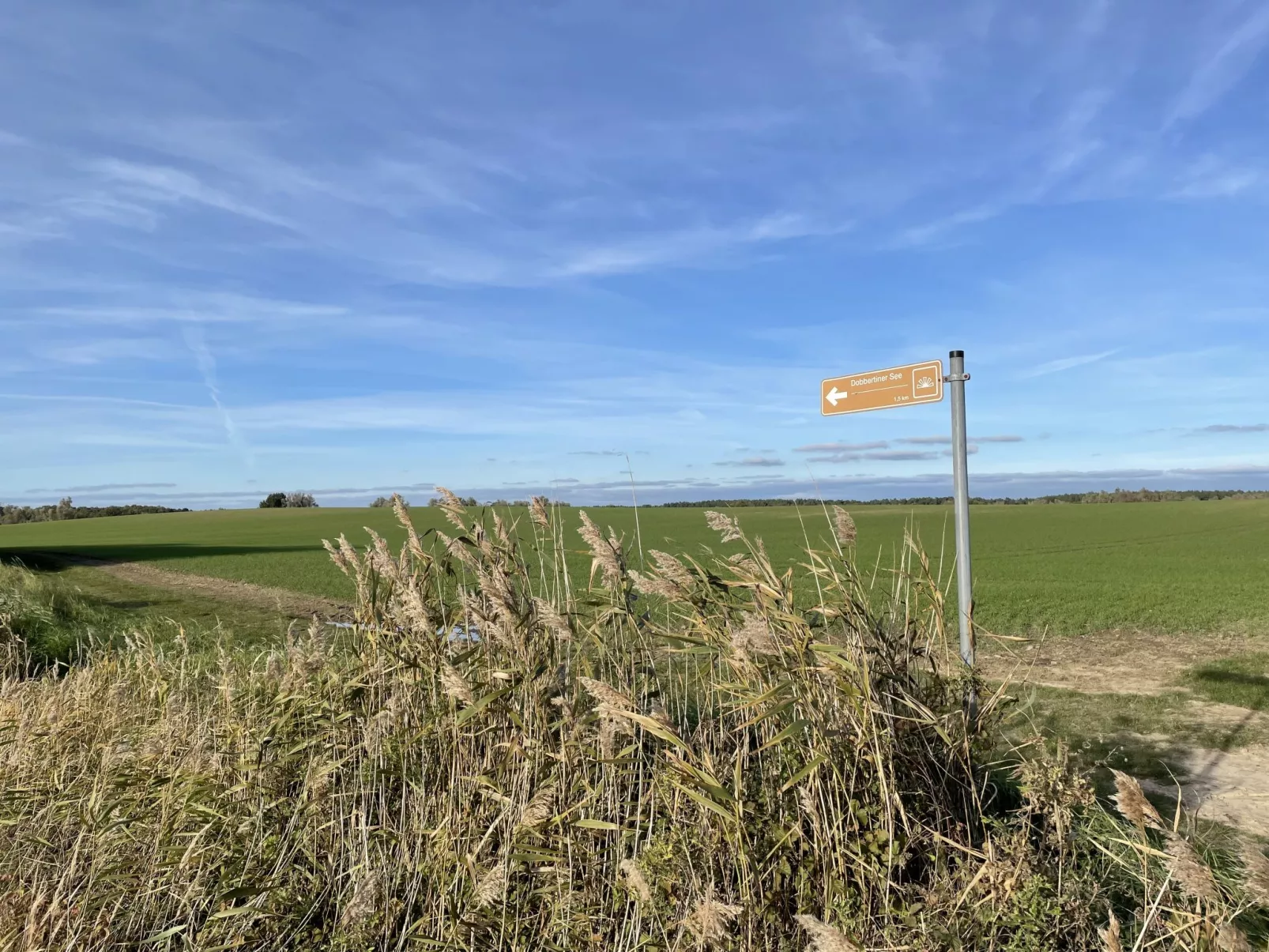 Am Walde-Outside