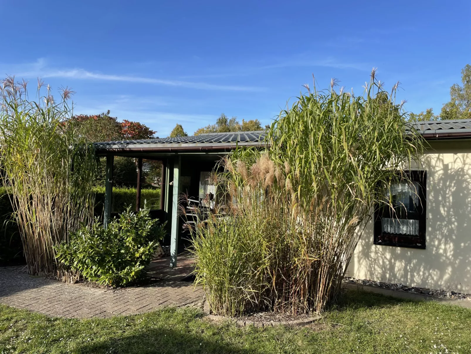 Am Walde-Outside