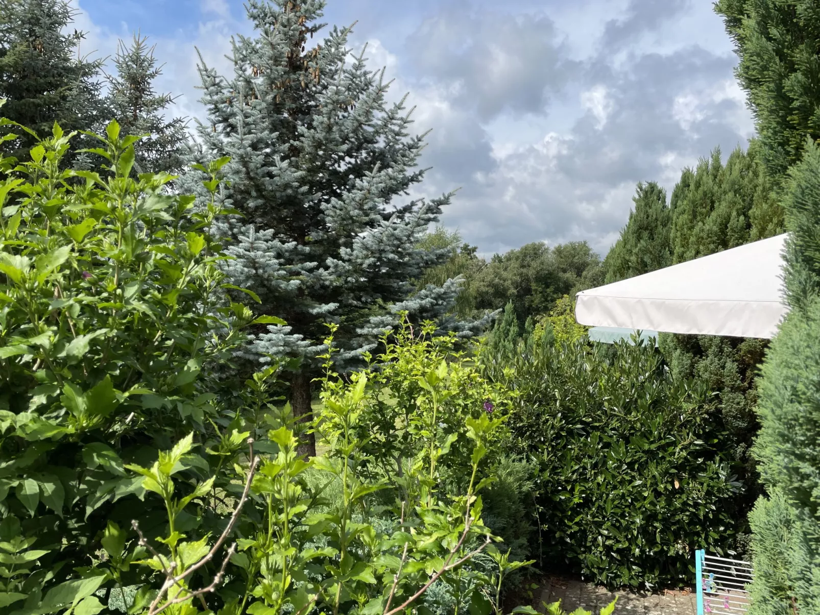 Am Pälitzsee-Outside