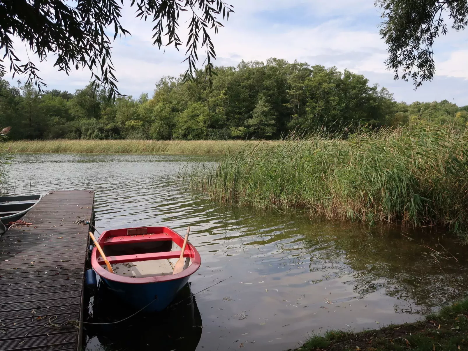Am Pälitzsee-Outside