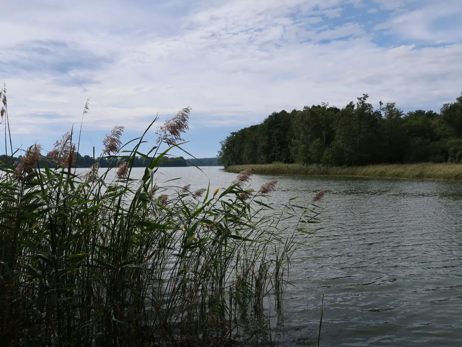 Am Pälitzsee-Outside