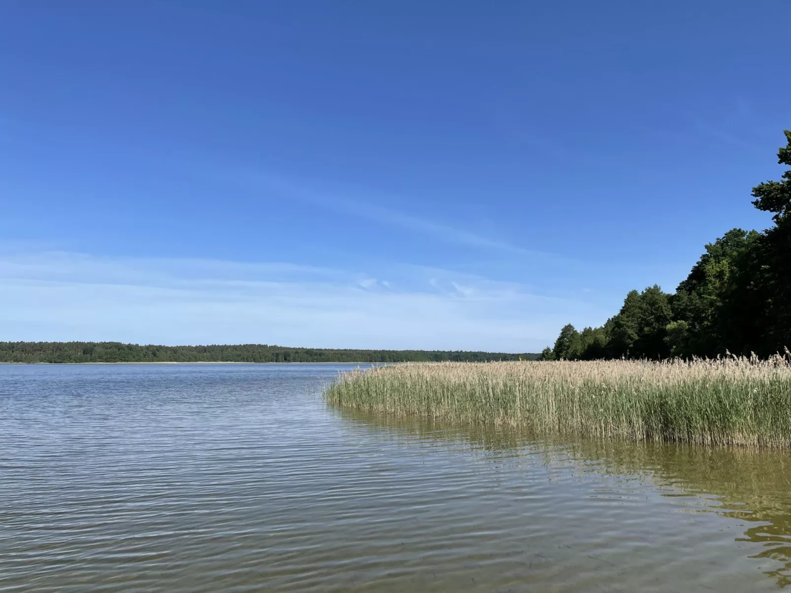 Wald und See-Outside