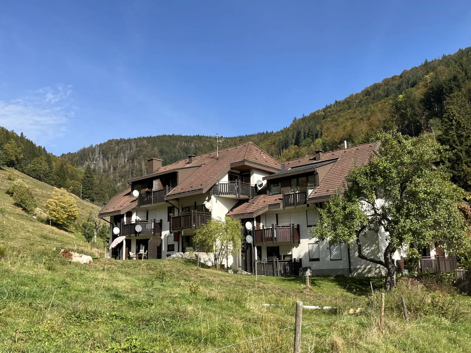 Sonnenblick II