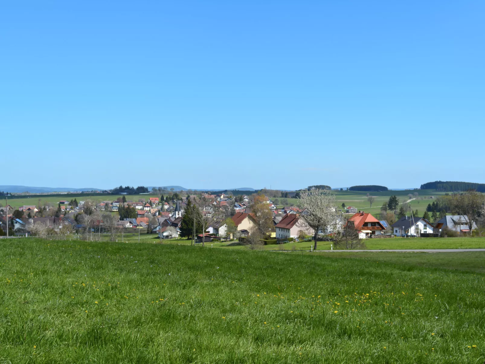 Spatzenparadies-Area
