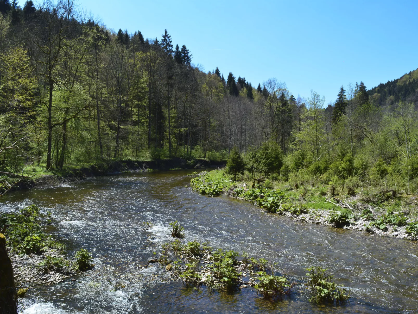 Spatzenparadies-Area