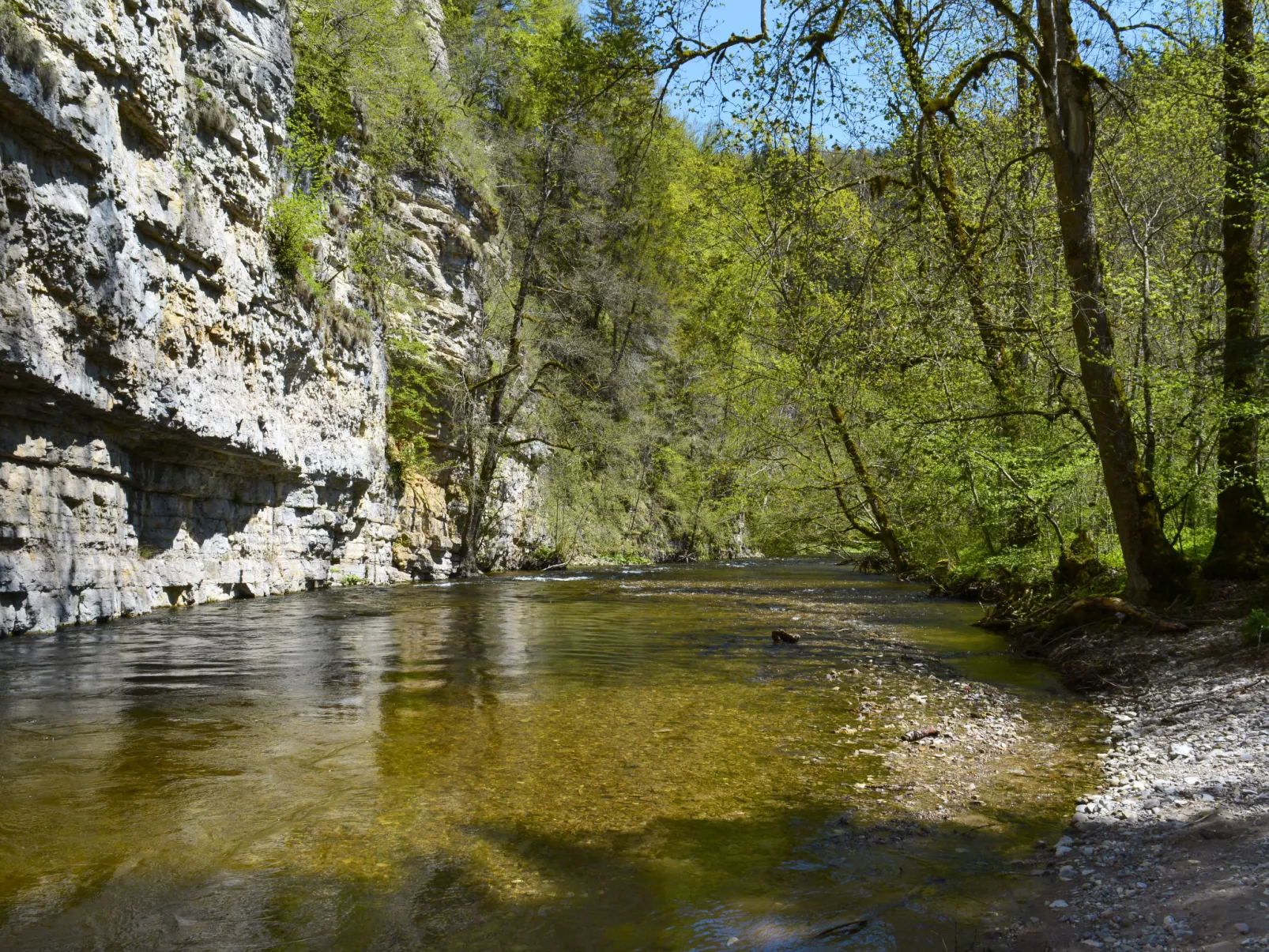 Spatzenparadies-Area