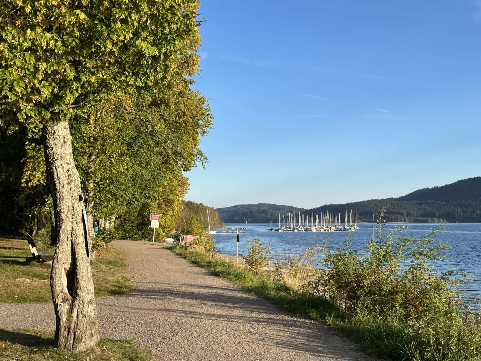 Schleuniger-Area