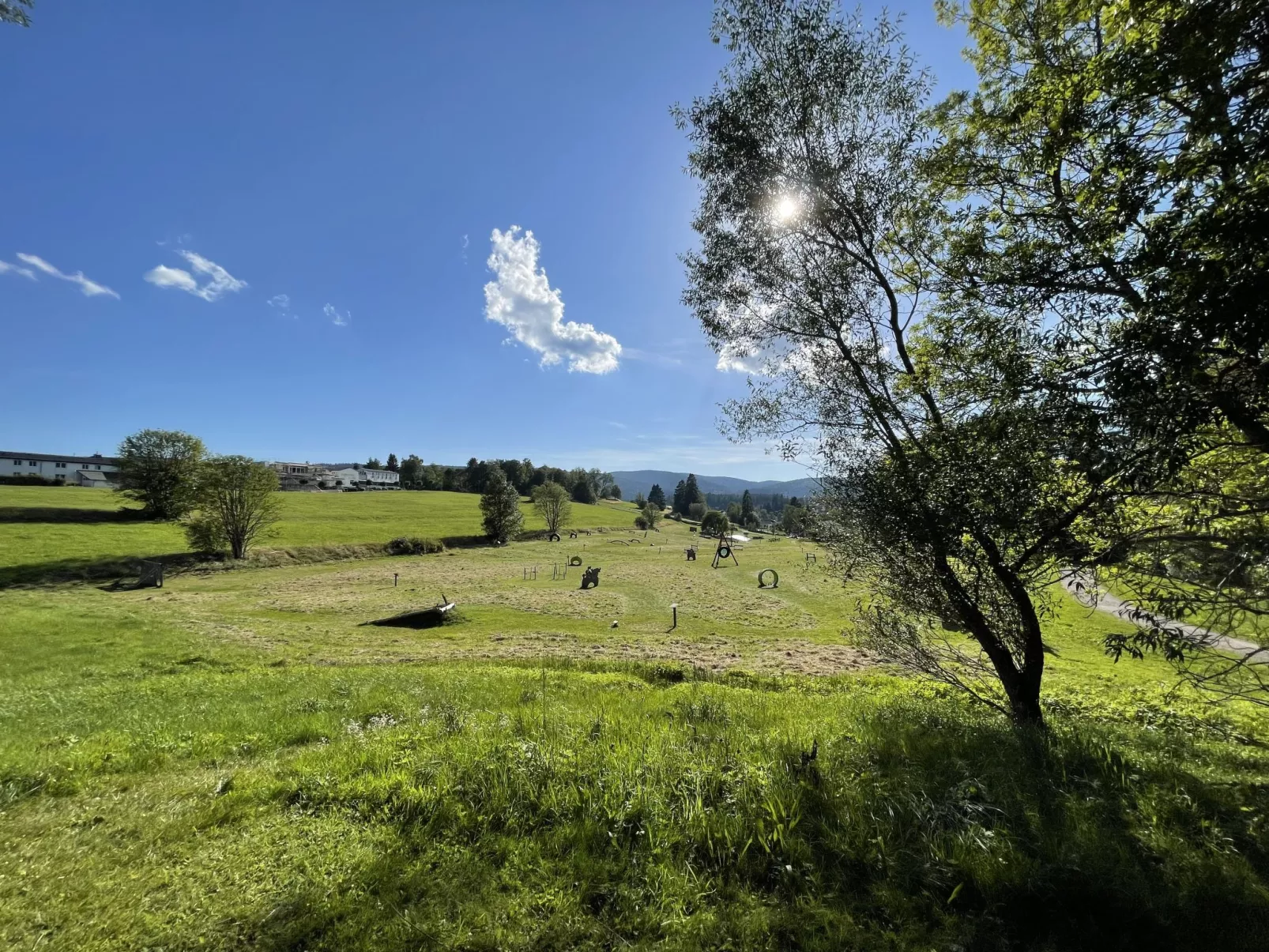 App. 1406 / EX-Kurhotel Schluchsee-Dehors