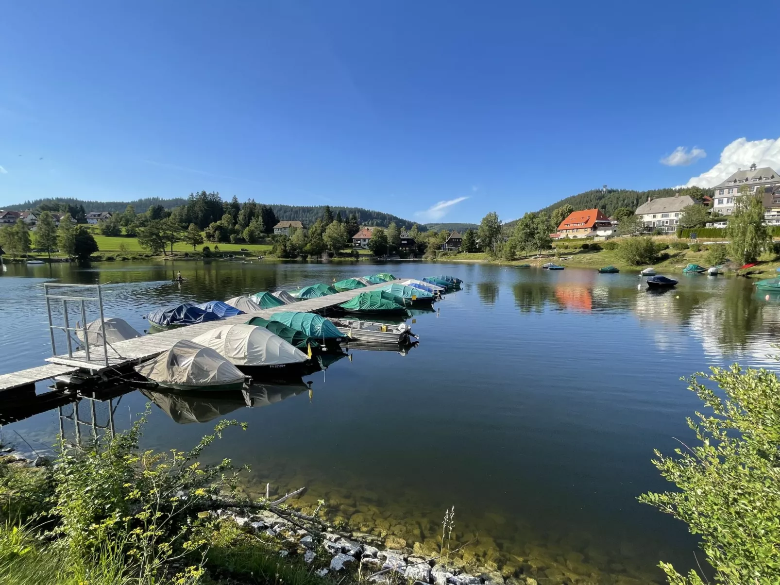 App. 1406 / EX-Kurhotel Schluchsee-Environnement