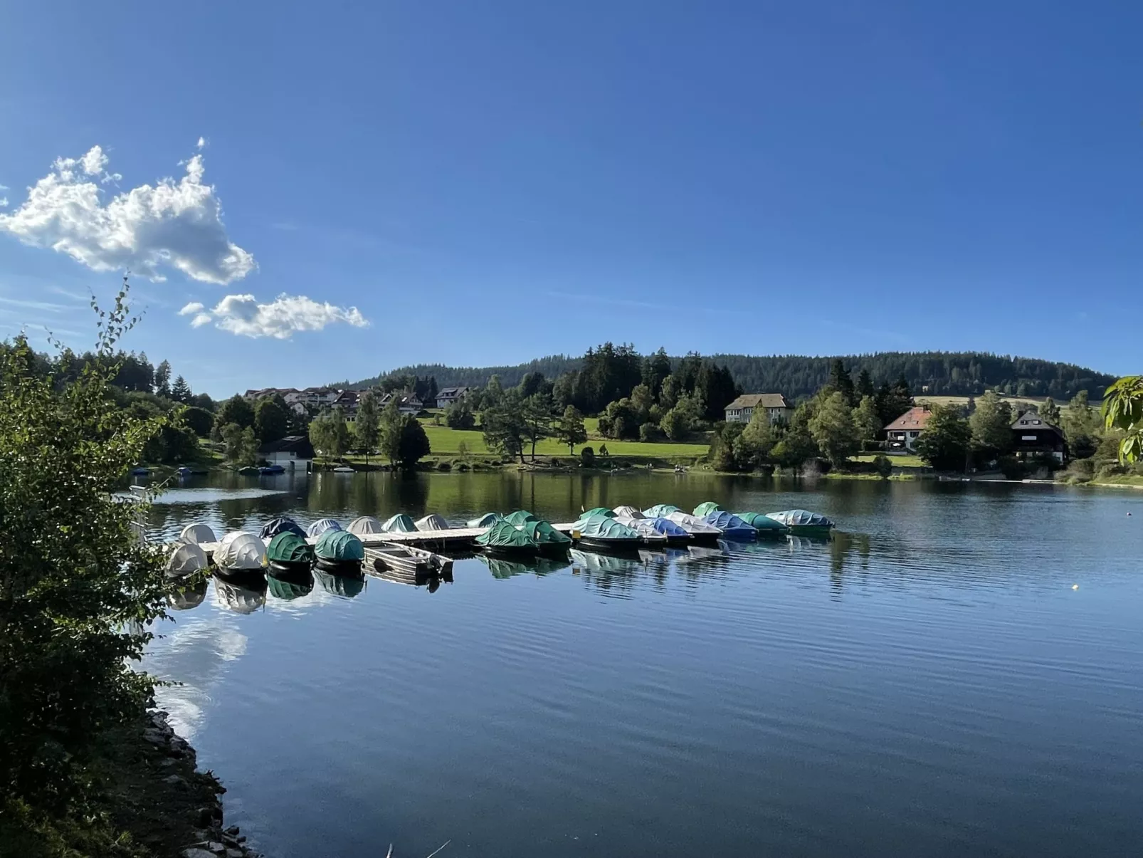 App. 1406 / EX-Kurhotel Schluchsee-Environnement