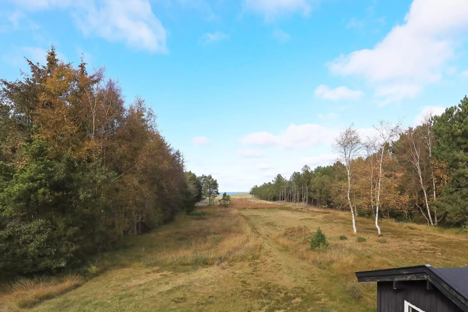 4 person holiday home in Læsø-View