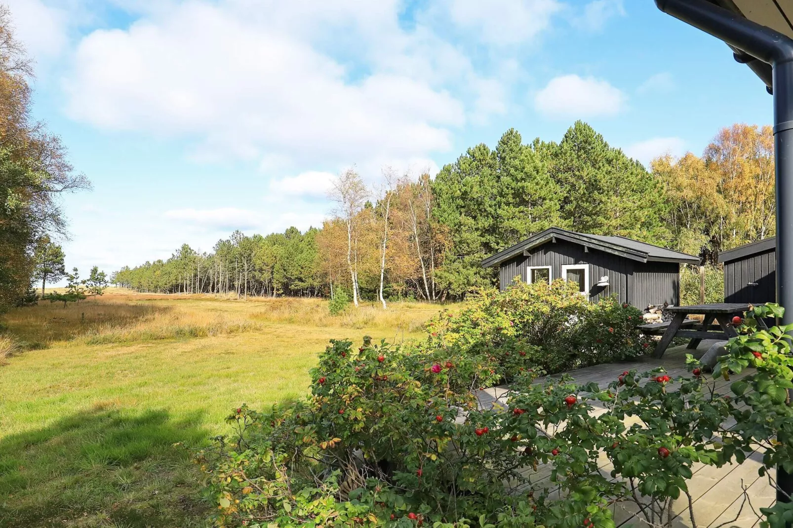 4 person holiday home in Læsø-View