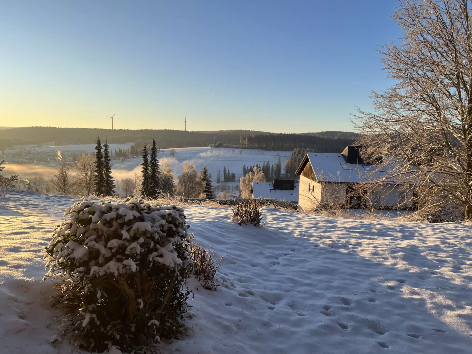 Schwarzwaldblick-Draußen