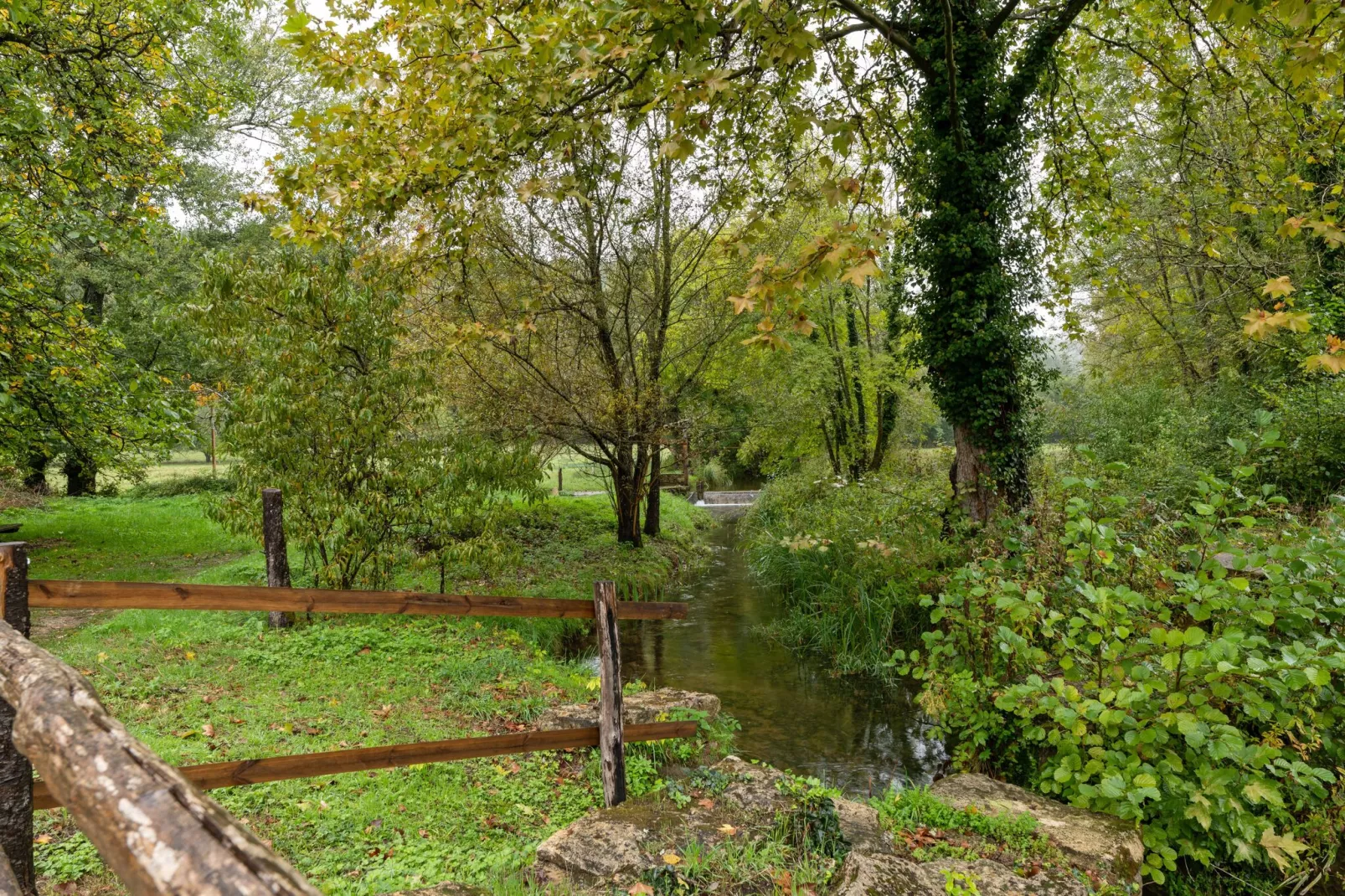 Le Moustier-Jardin d'été