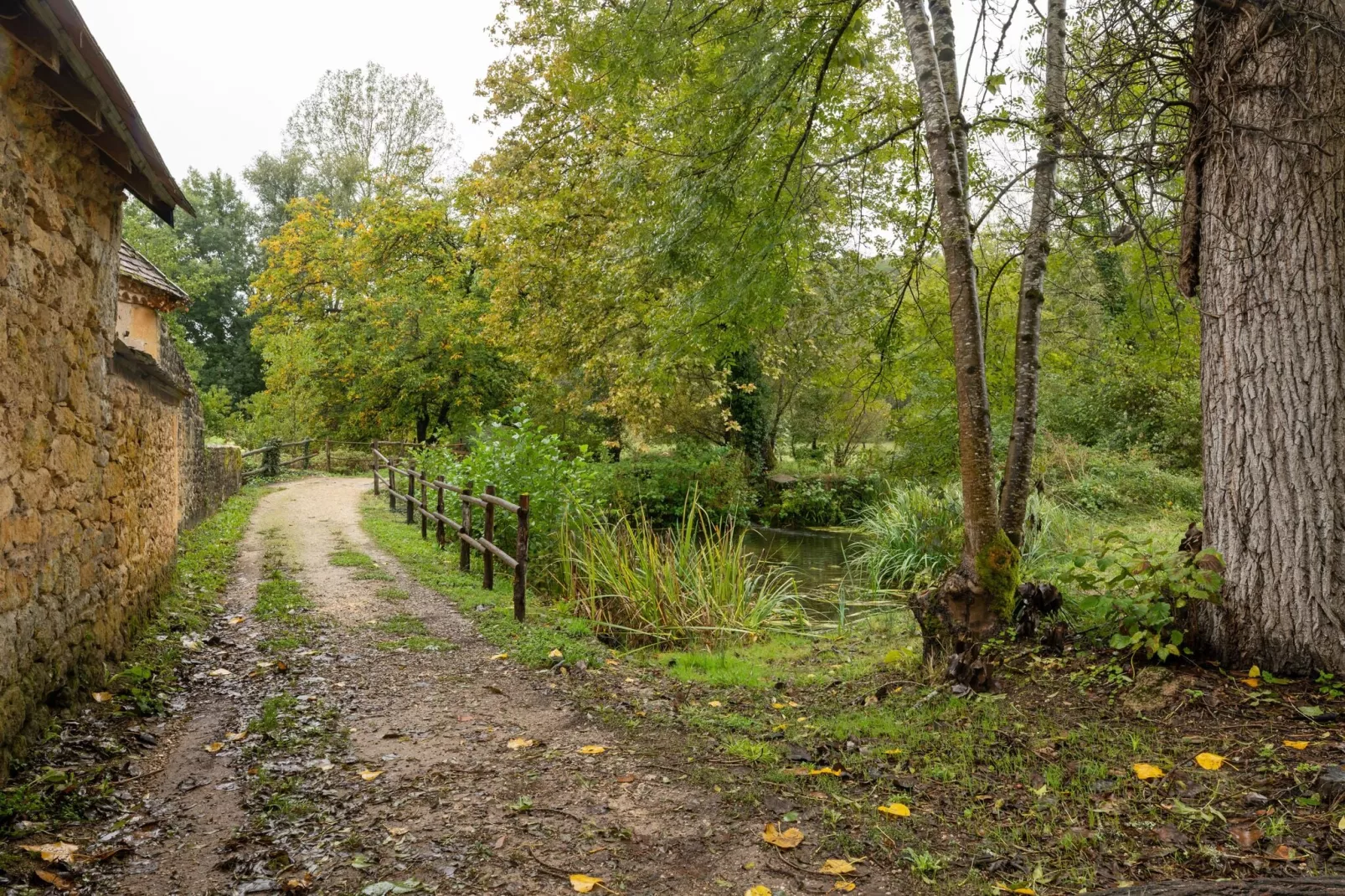 Le Moustier-Jardin d'été