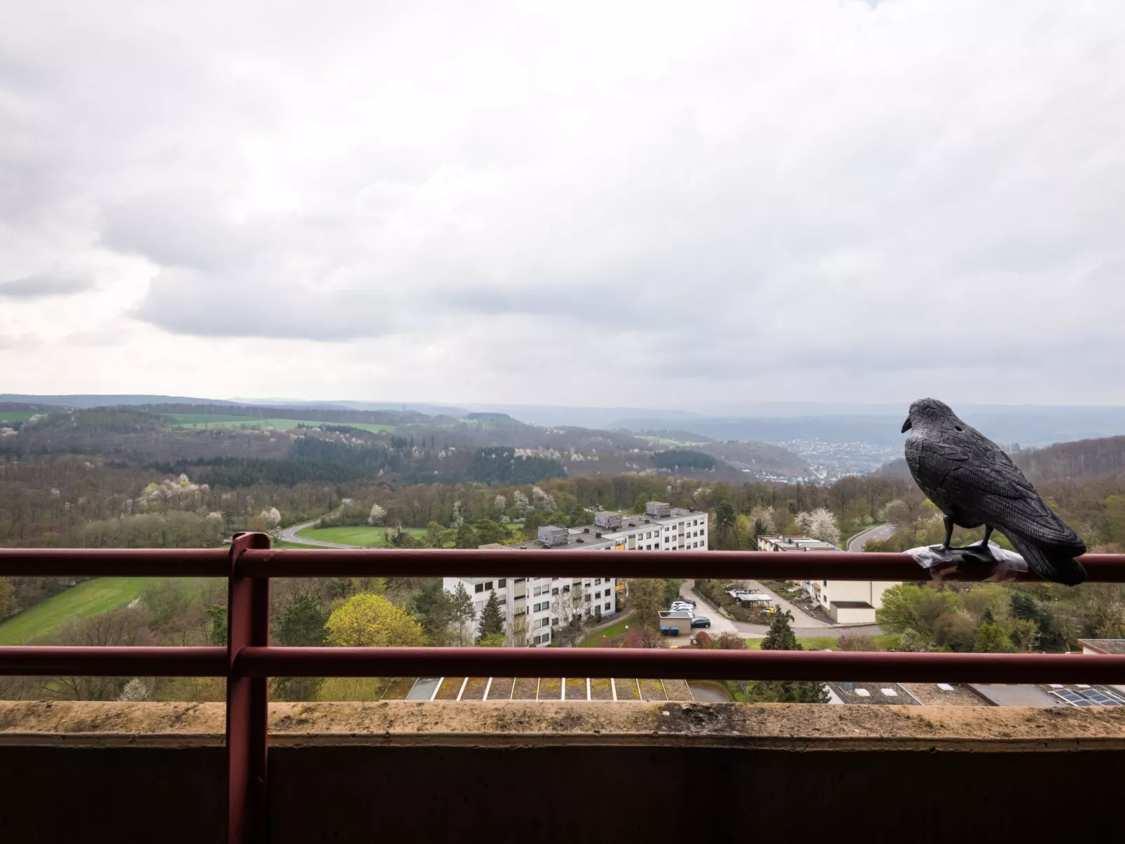 Burgblick (A1110)-Outside