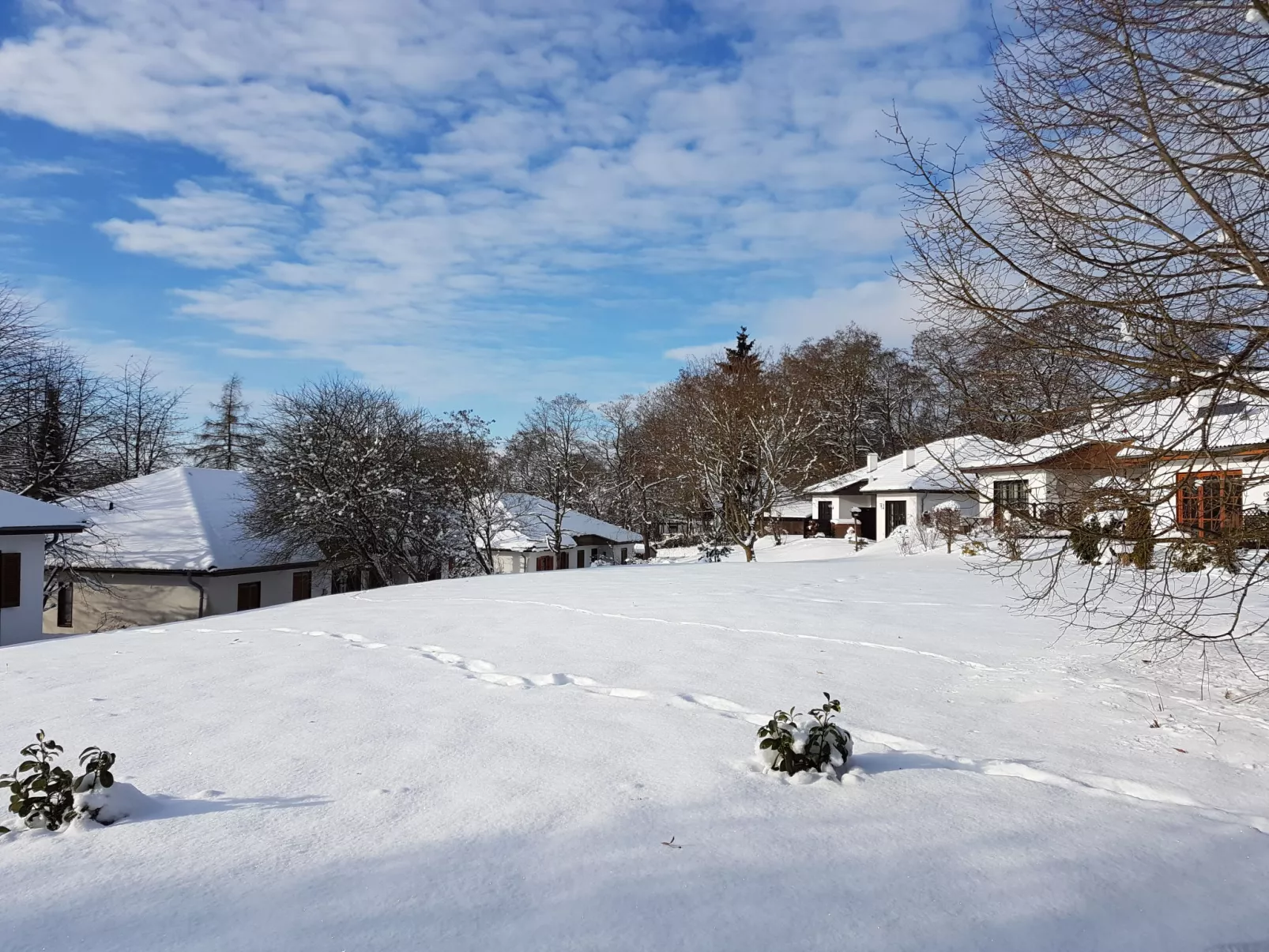 Brüderchen-Outside