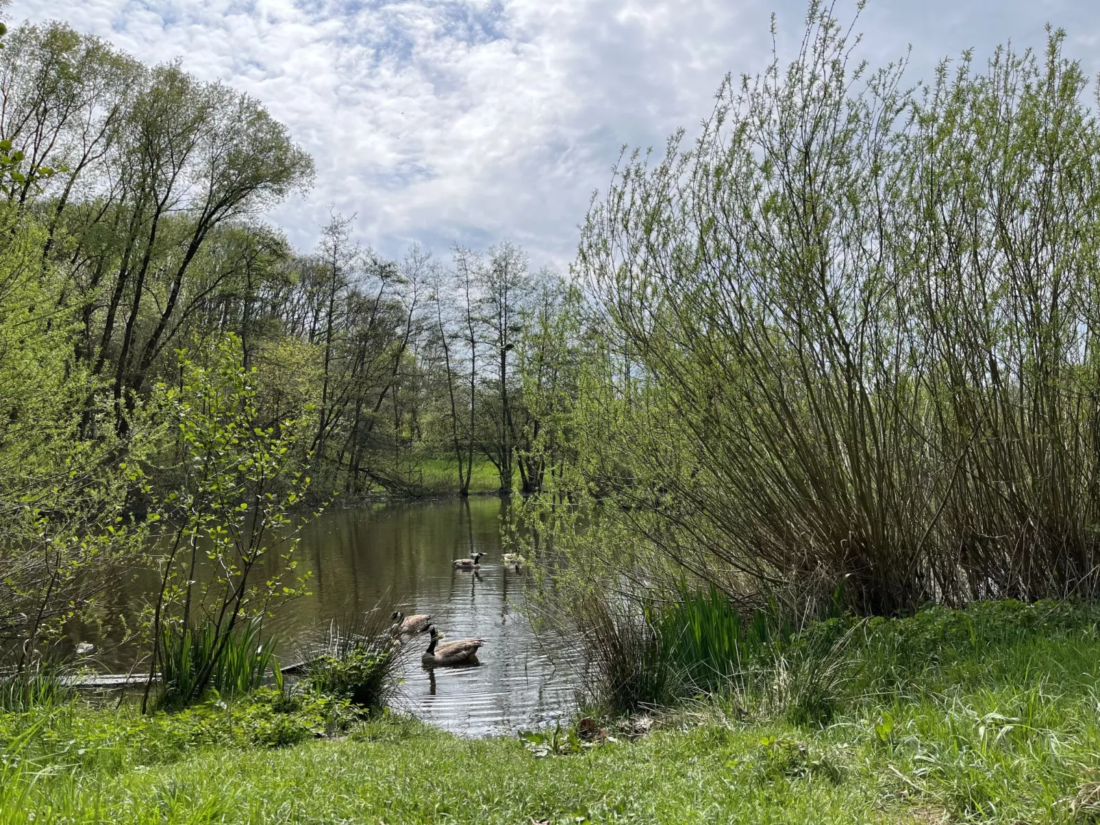 Kellerwald-Liebe-Outside