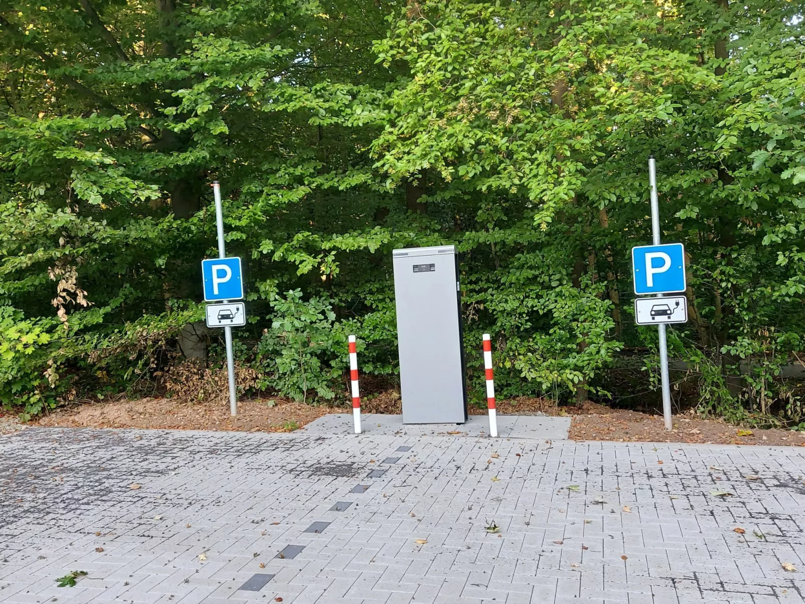 Waldrauschen-Area