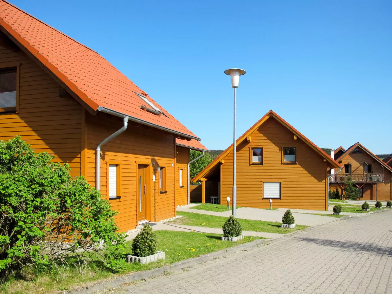 Auerhahn-Outside