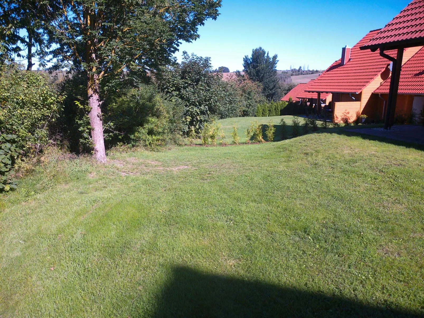 Auerhahn-Outside
