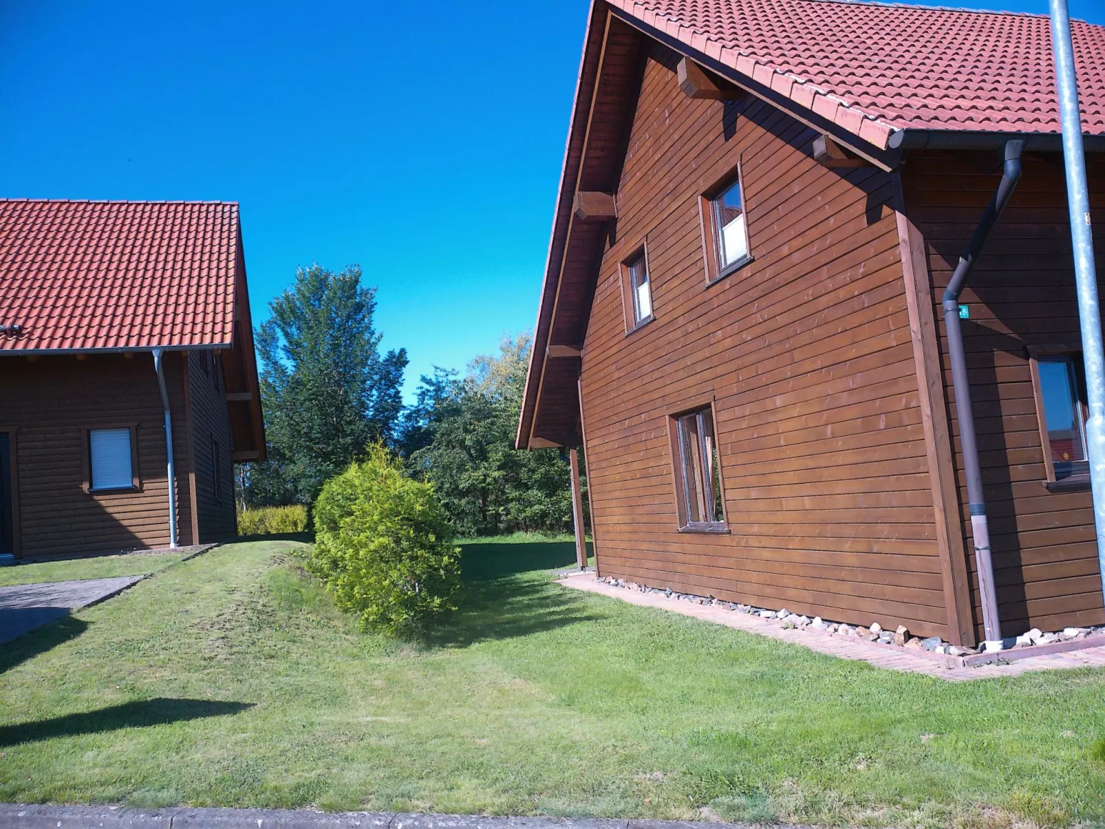 Auerhahn-Outside