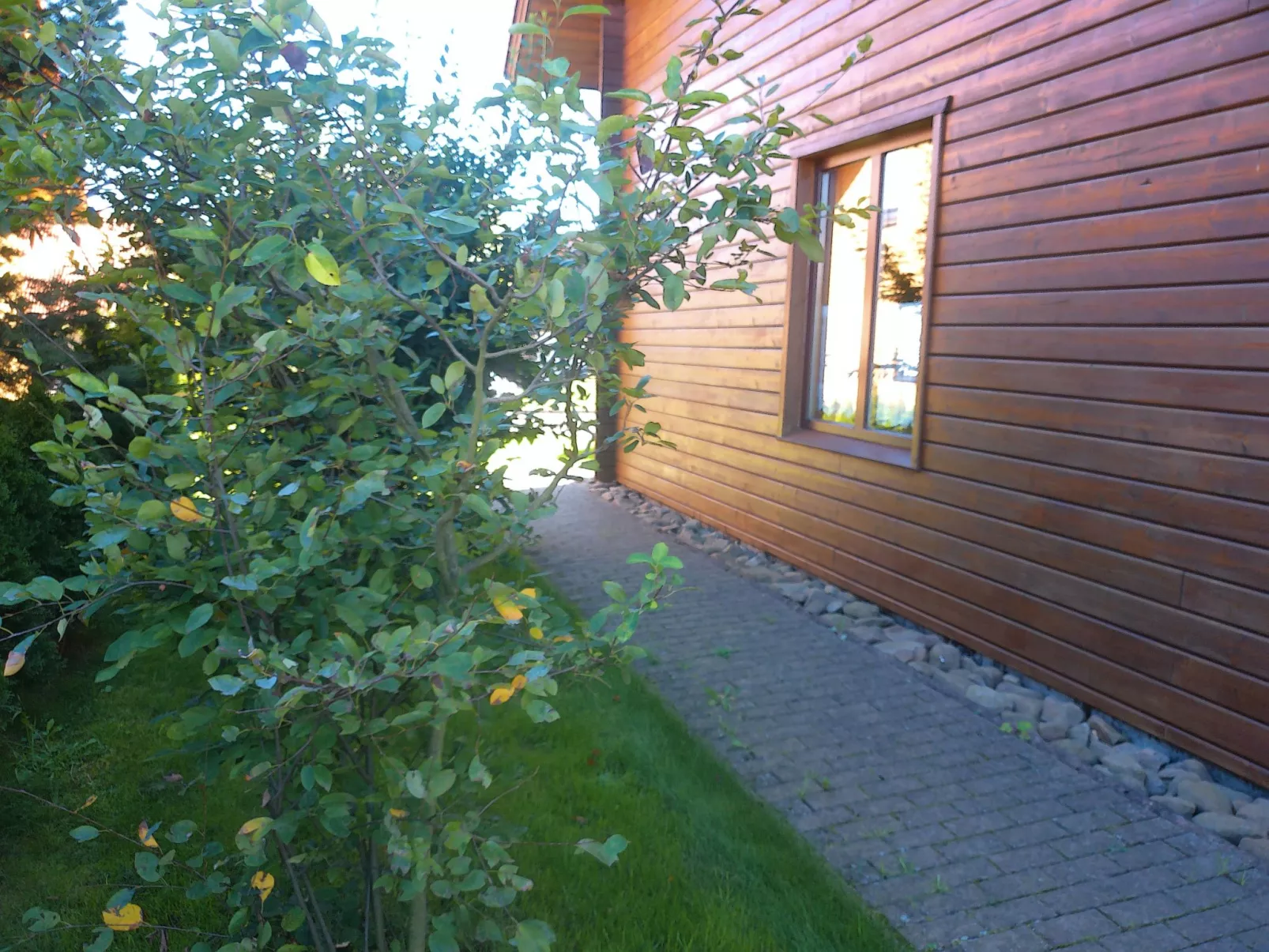 Auerhahn-Outside