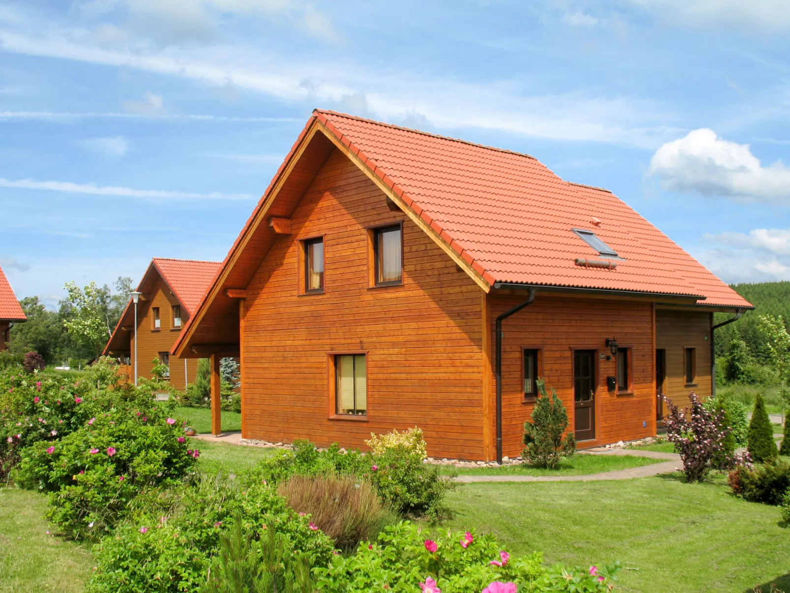 Auerhahn-Outside