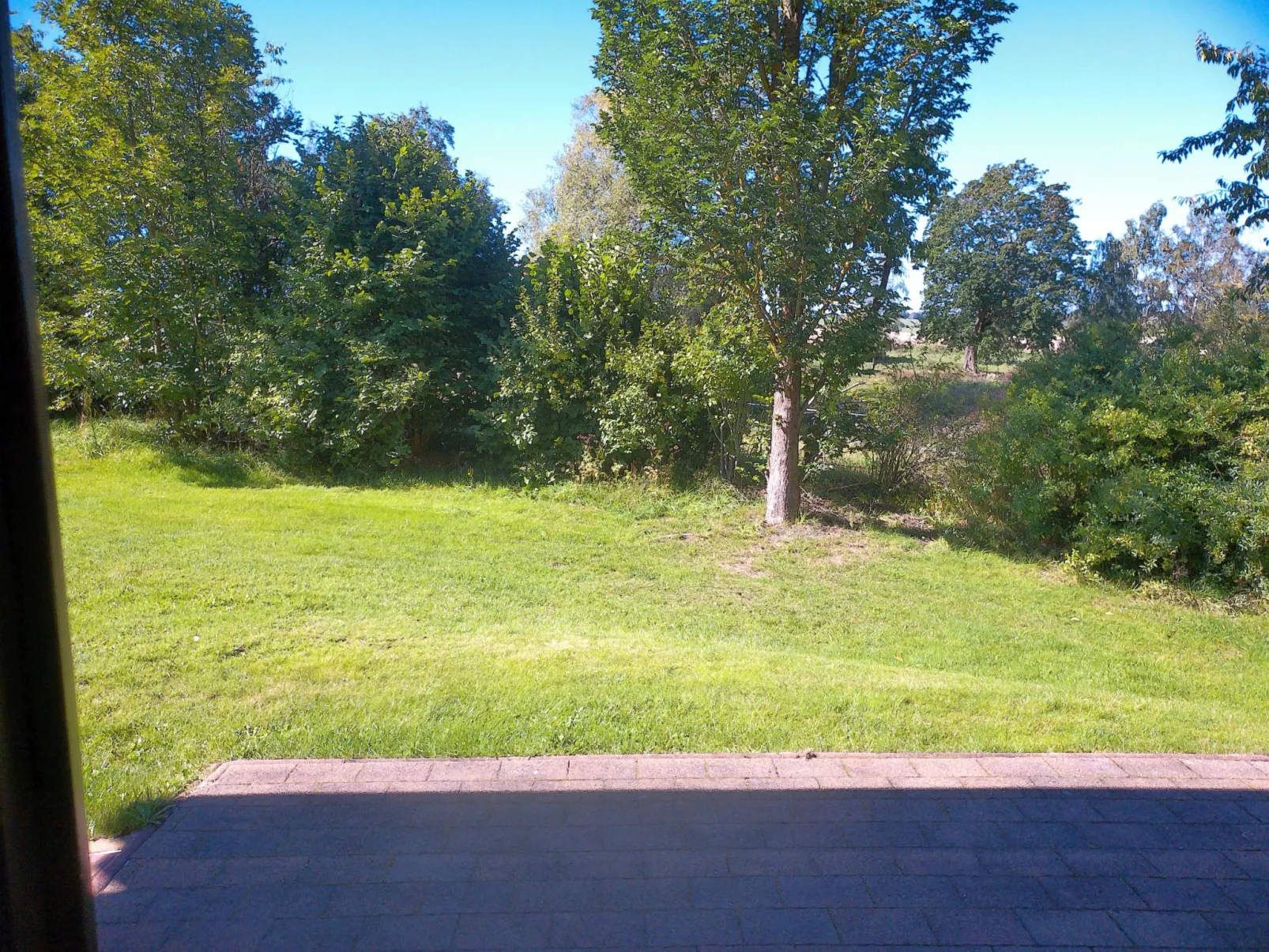 Auerhahn-Outside