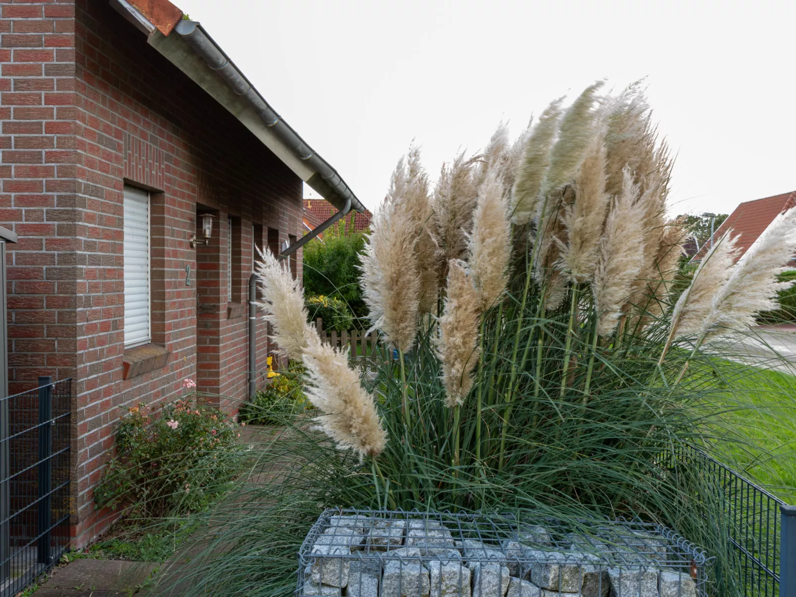 Deichblick-Outside