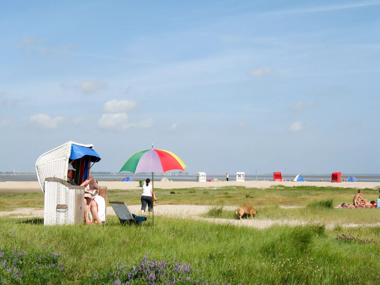 Strandkorb-Area