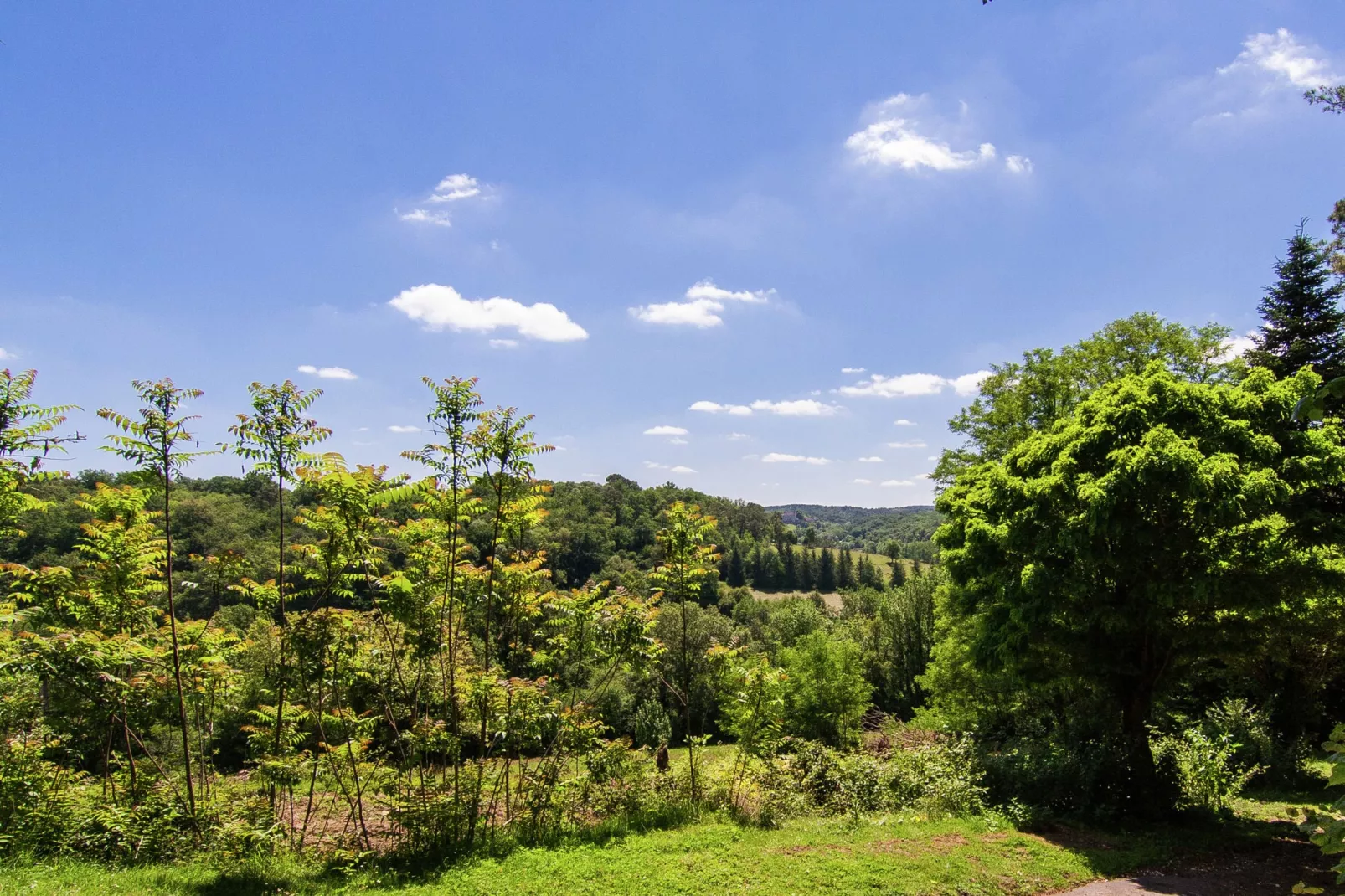 Métairie du Vignaud 16P-View summer