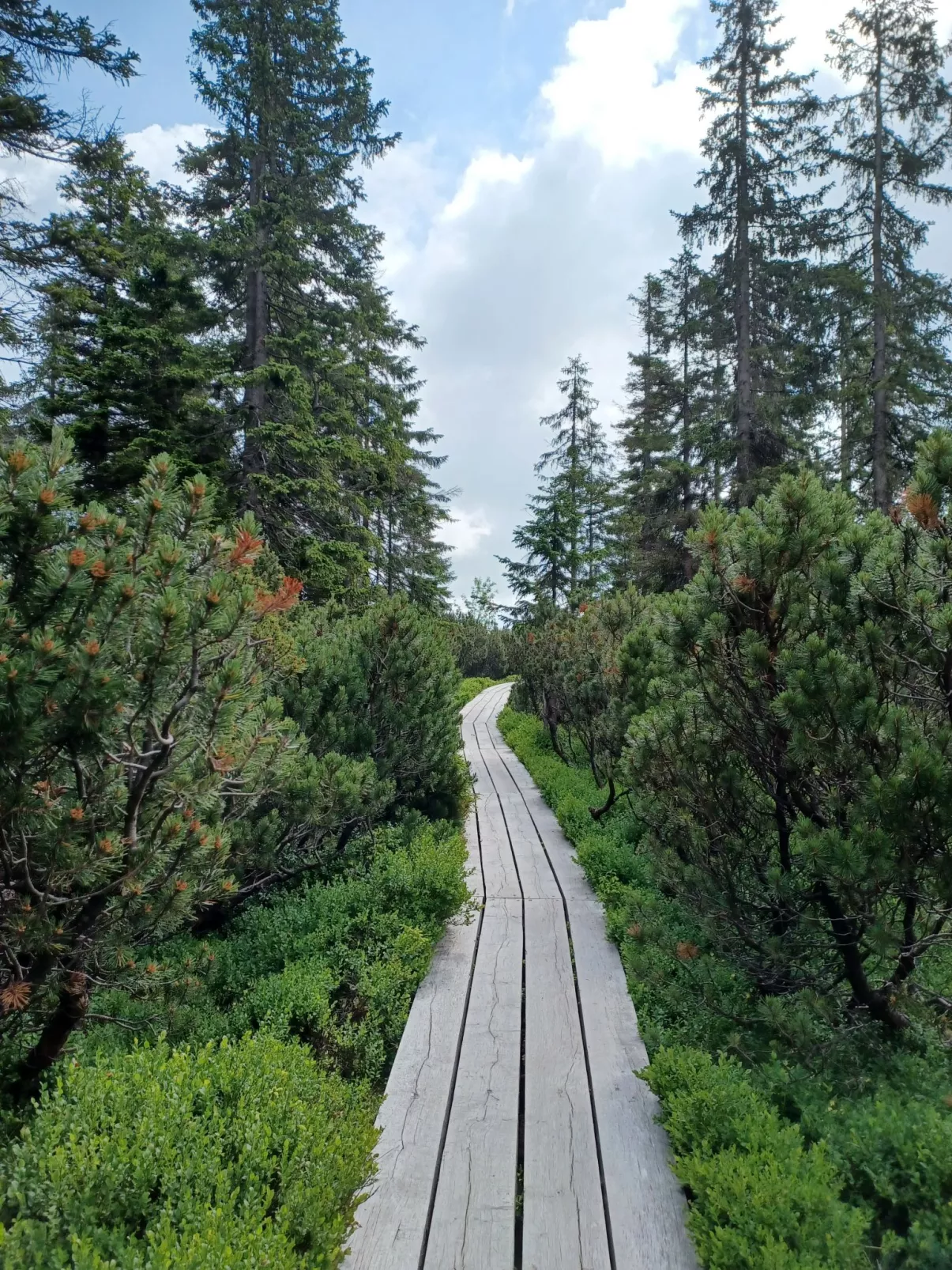 Holiday Hill-Umgebung