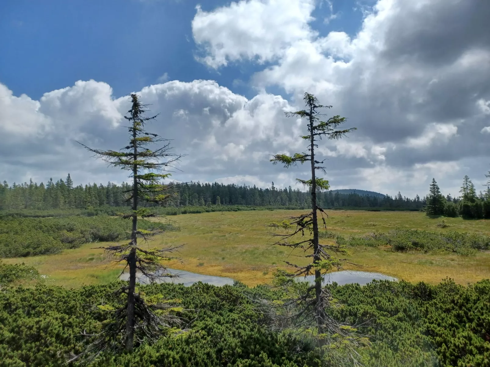 Holiday Hill-Umgebung