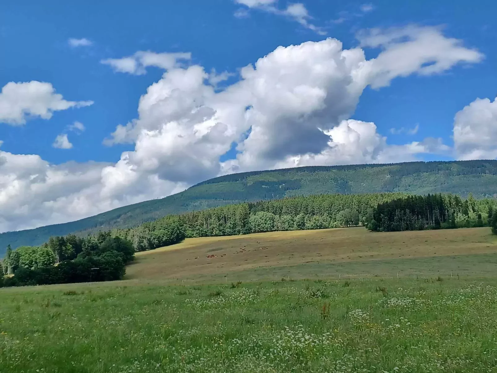 Holiday Hill 57-Environnement