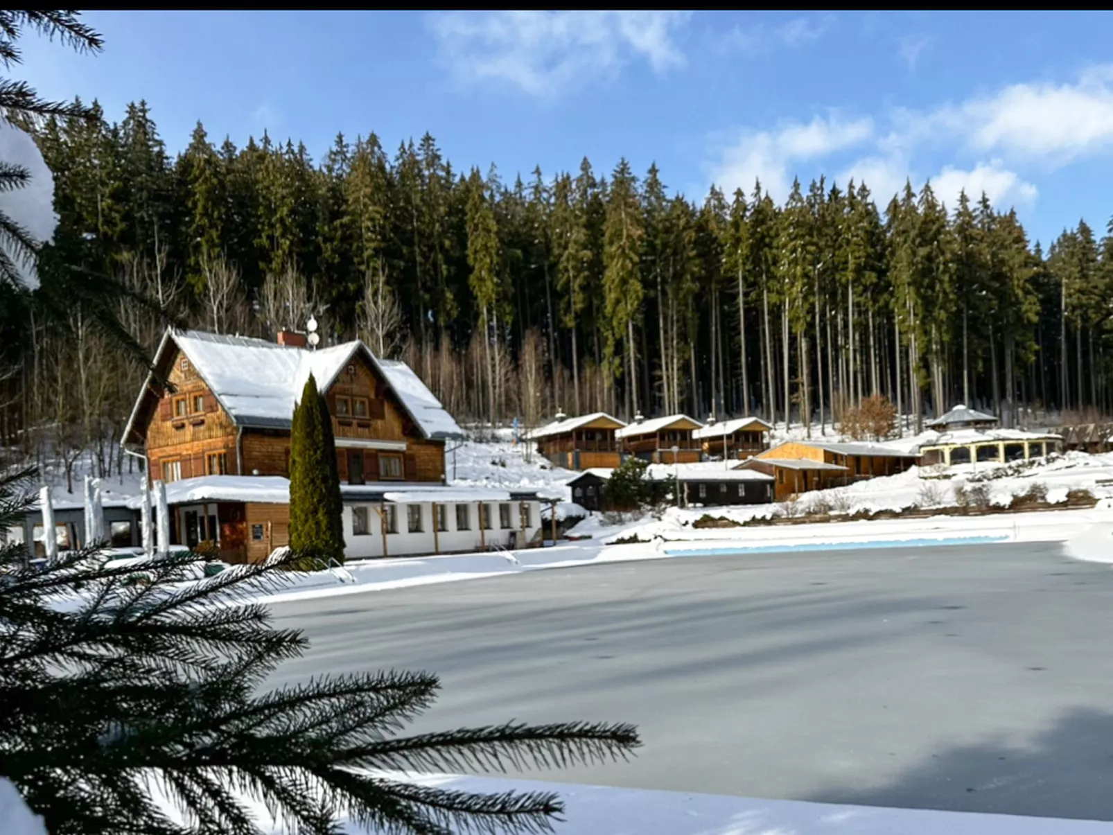 Luxe Timber Lodge & Pet Retreat-Outside