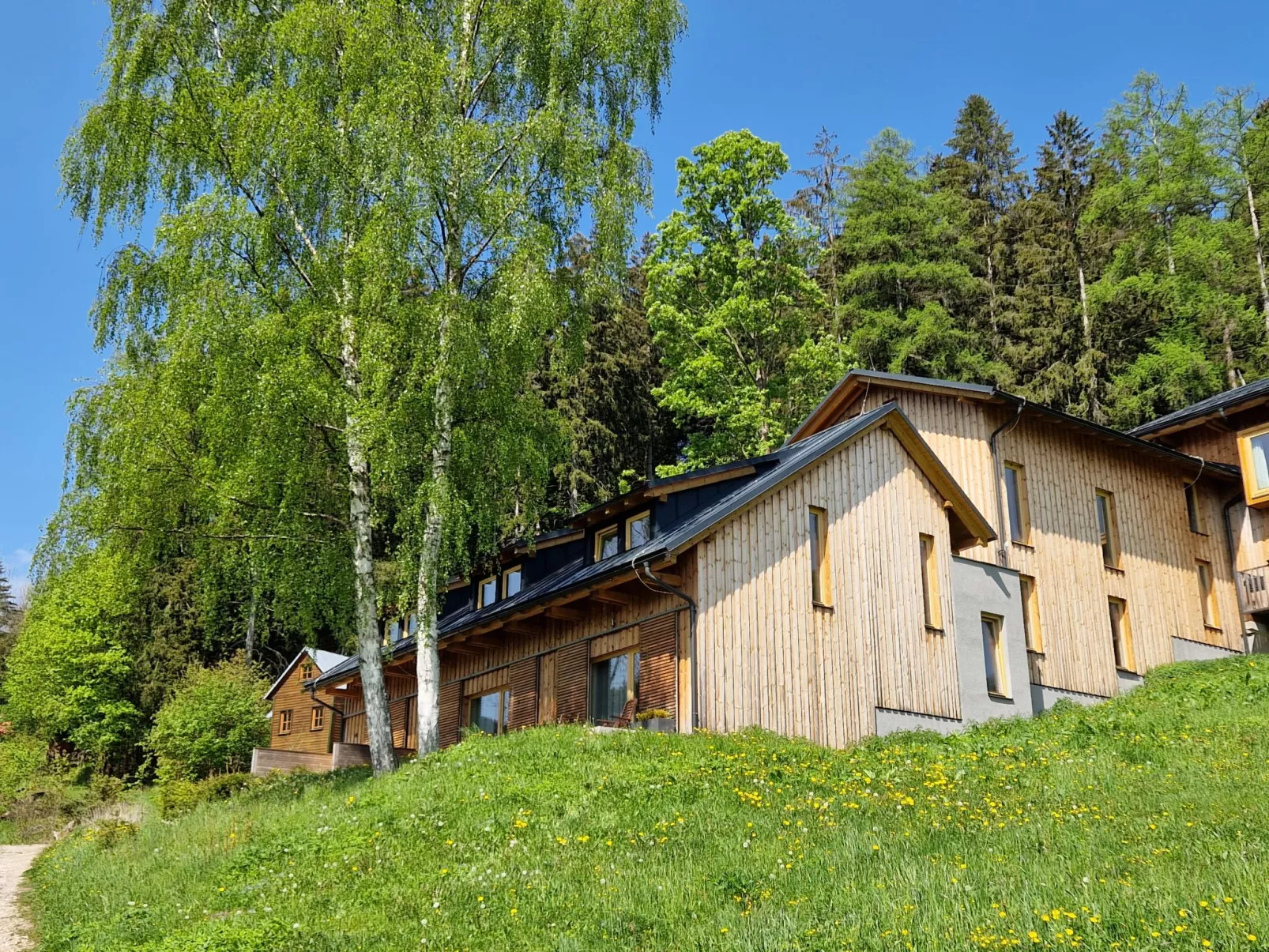 Ski-In Ski-Out Mountain Duplex Portášky3