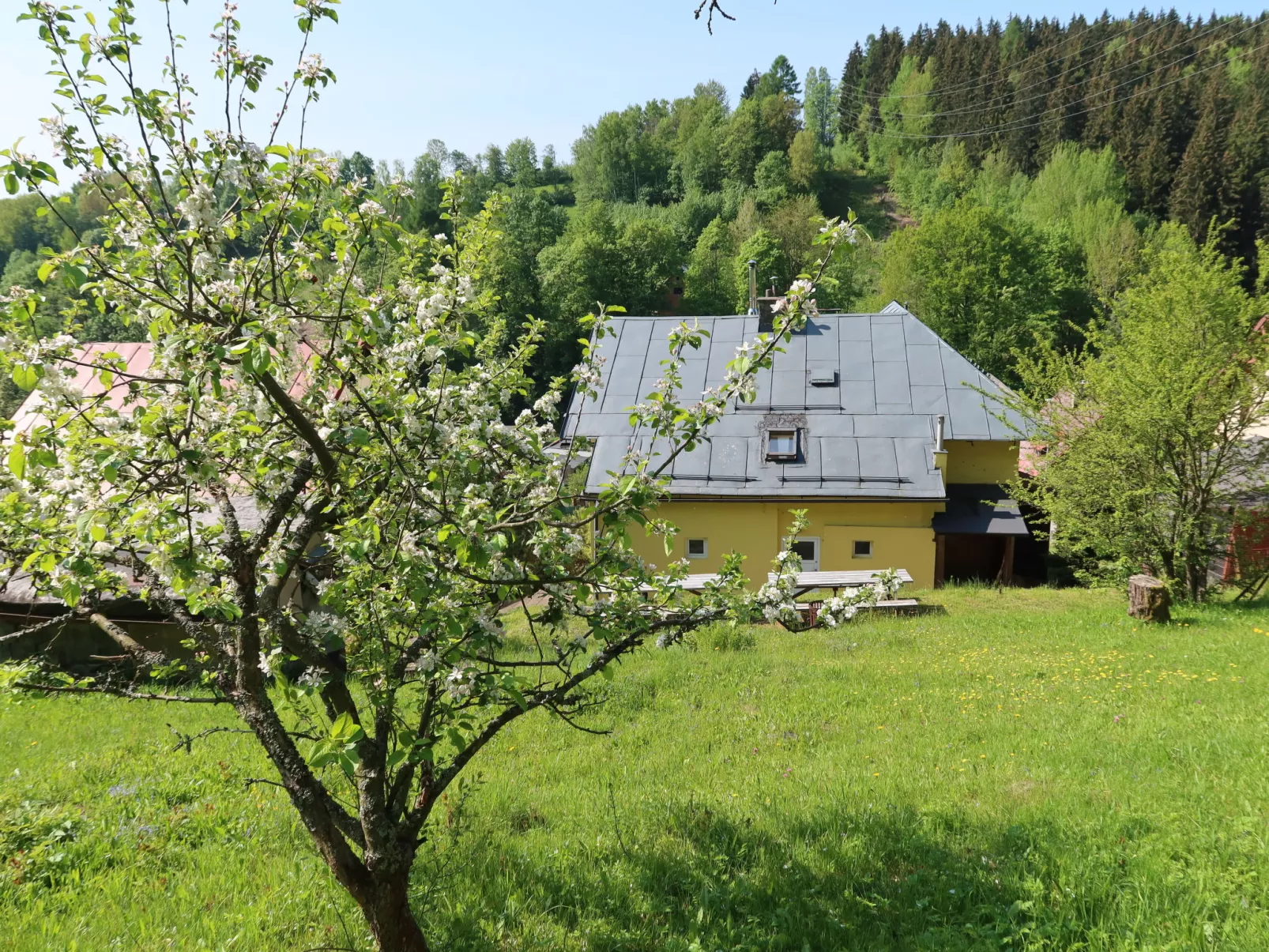 Hillside Lodge & Garden-Outside