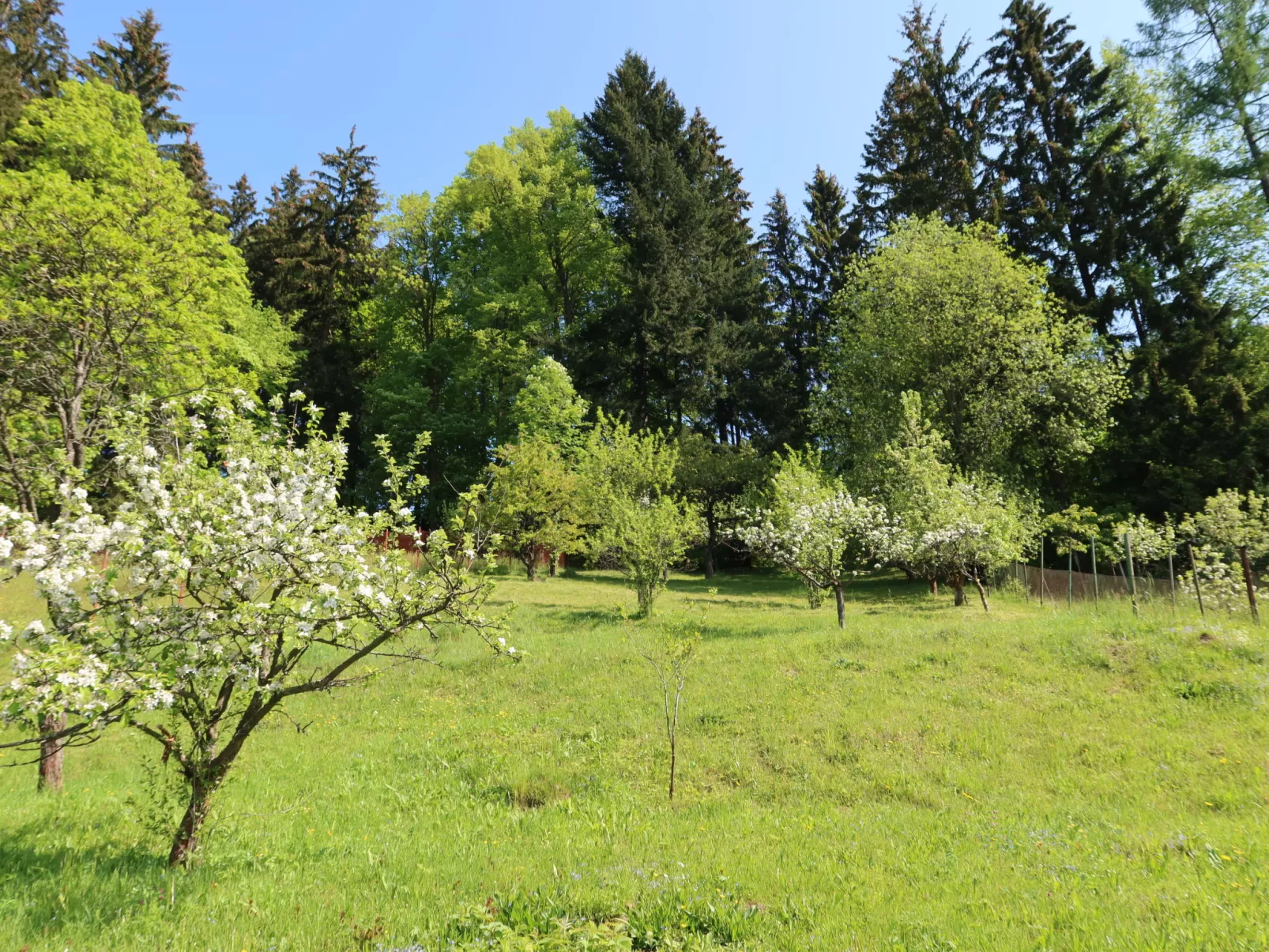 Hillside Lodge & Garden-Outside