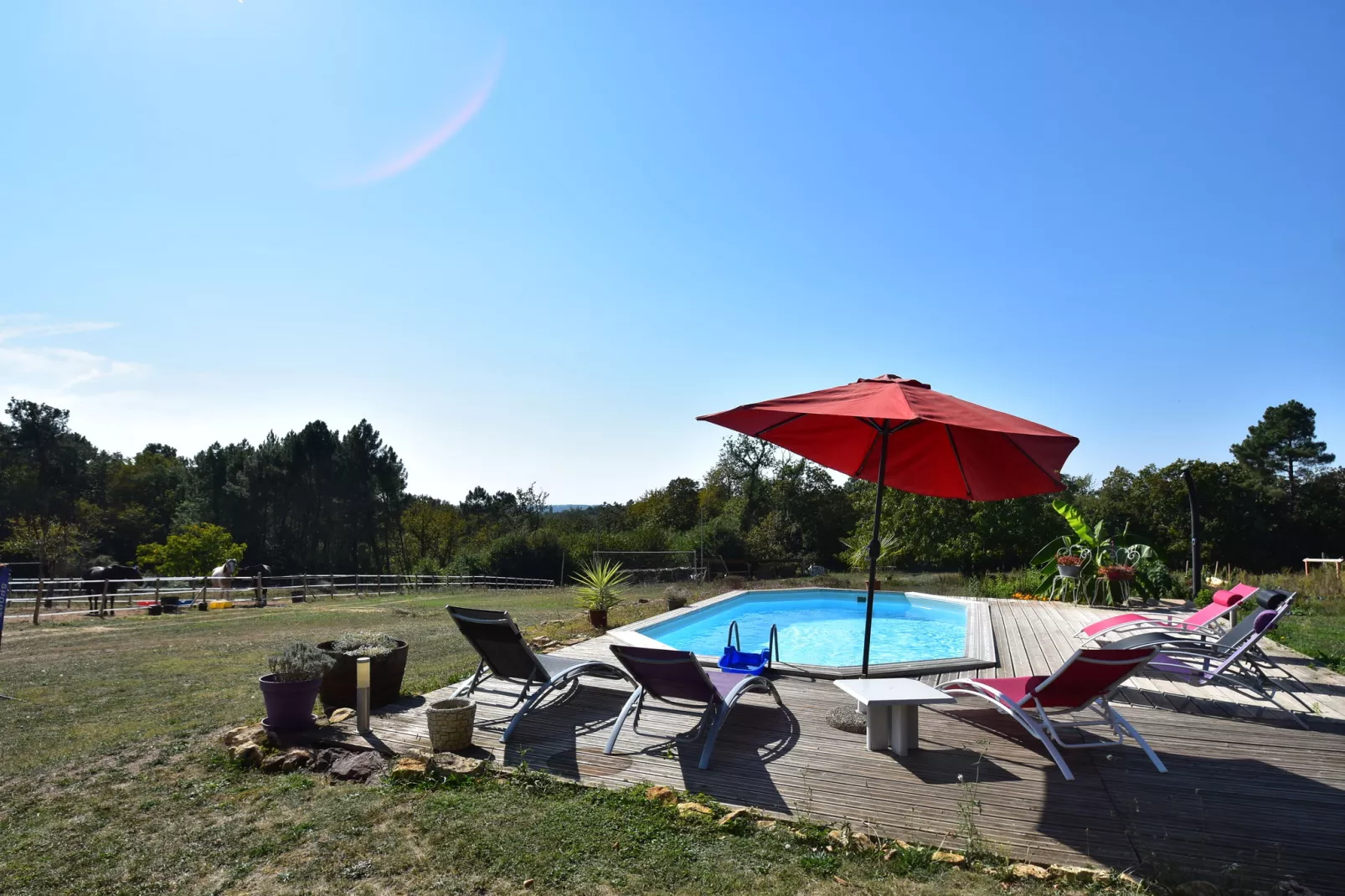 Maison de vacances Montferrand du Périgord-Pool