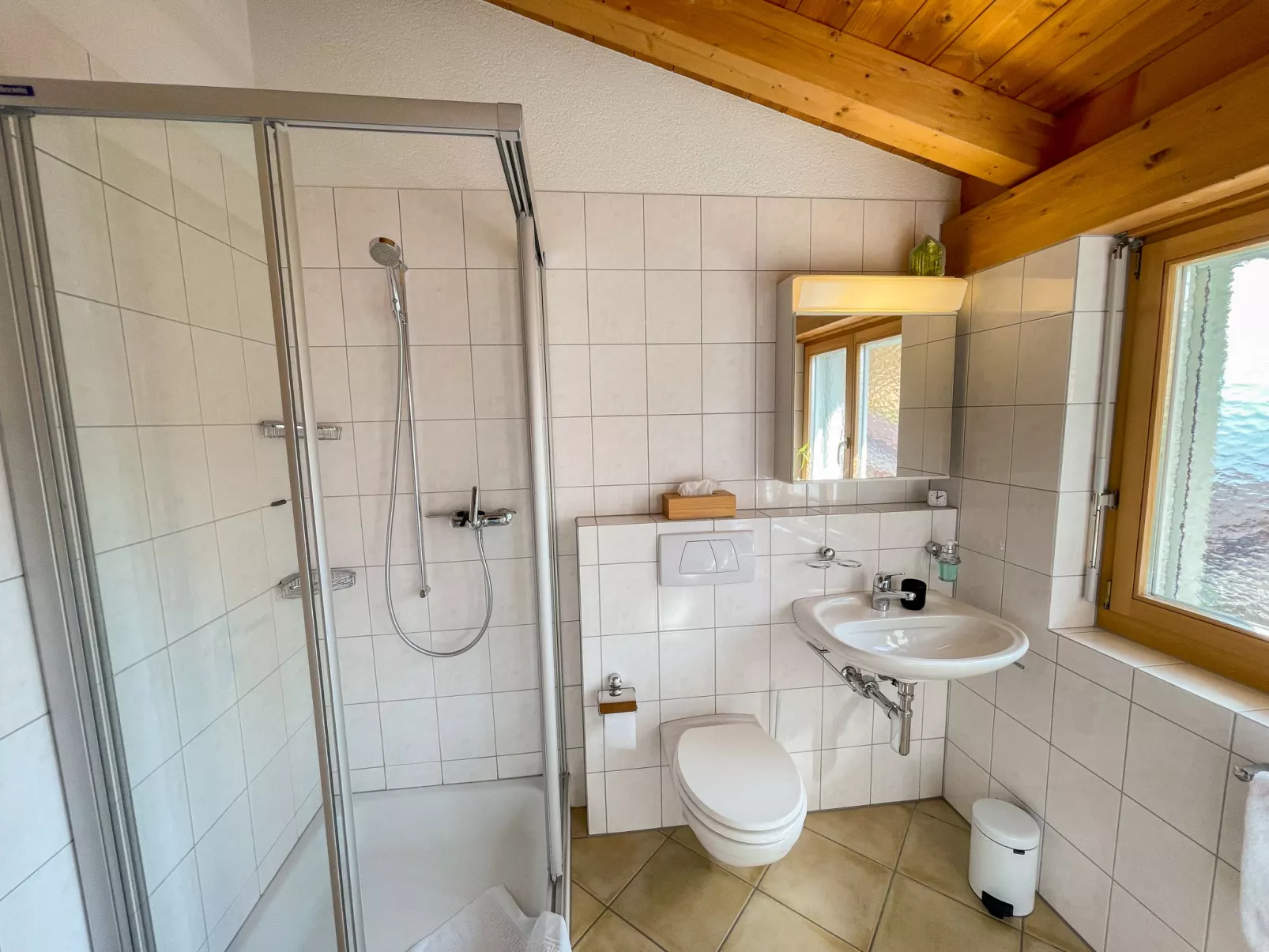 Penthouse Brugg-Inside