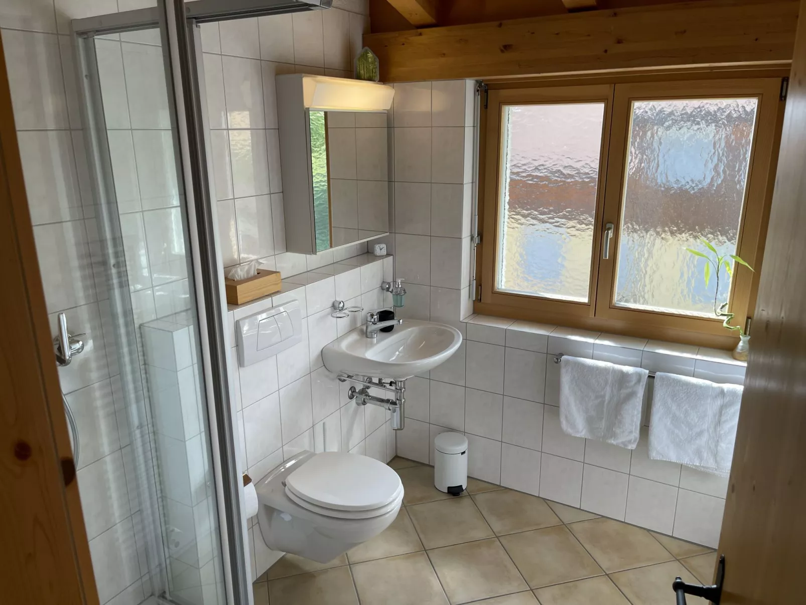 Penthouse Brugg-Inside