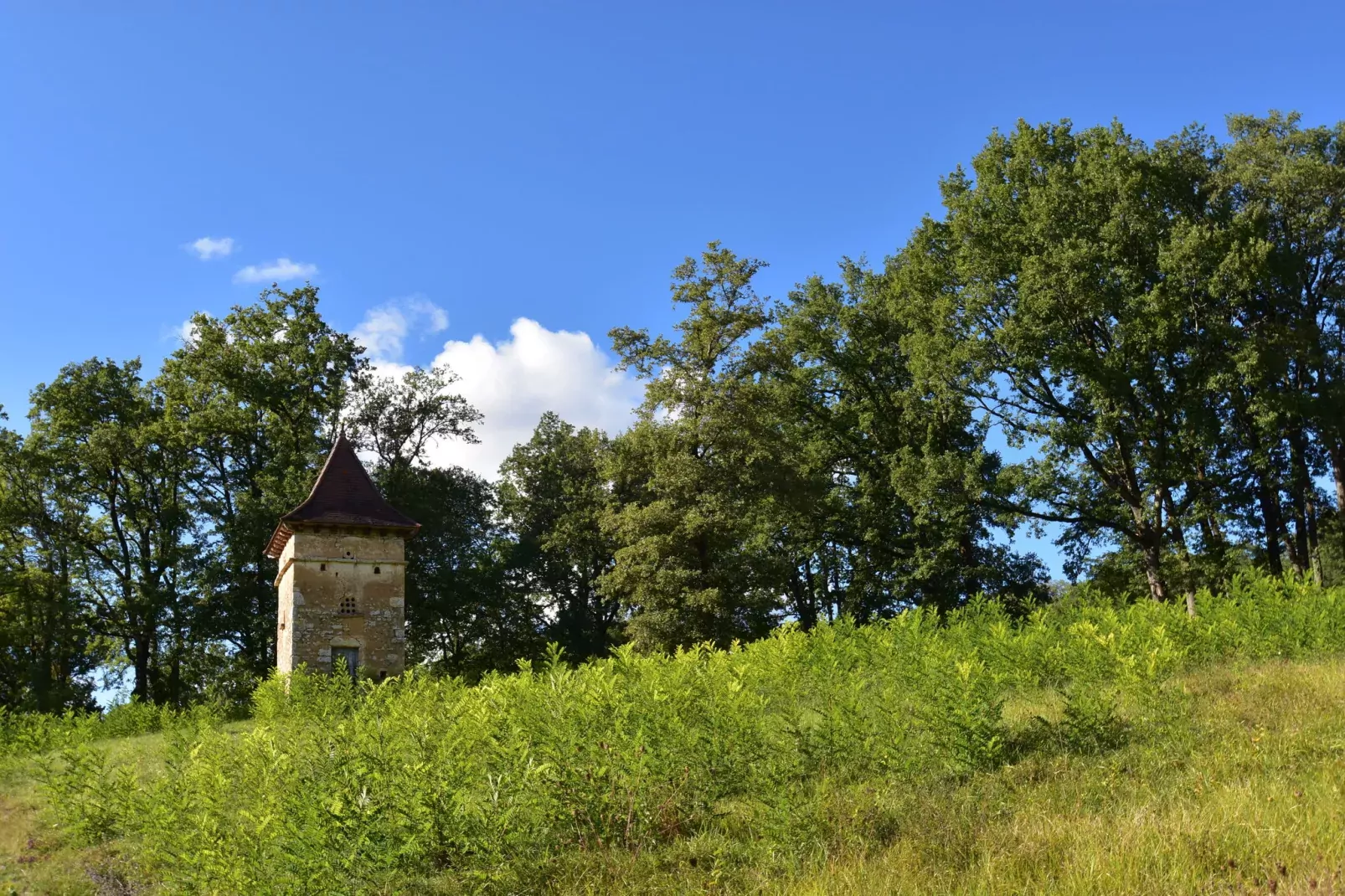 Maison de vacances Montferrand du Périgord-Areas summer 5km